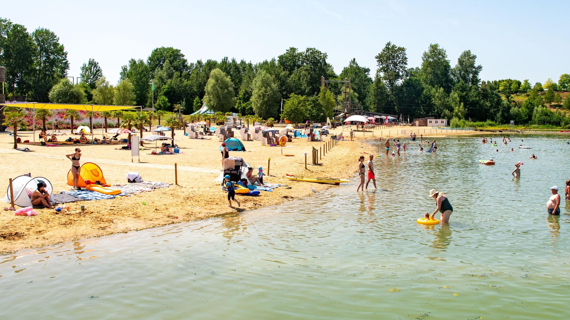 Menschen liegen am Strand und baden im Zülpicher See.