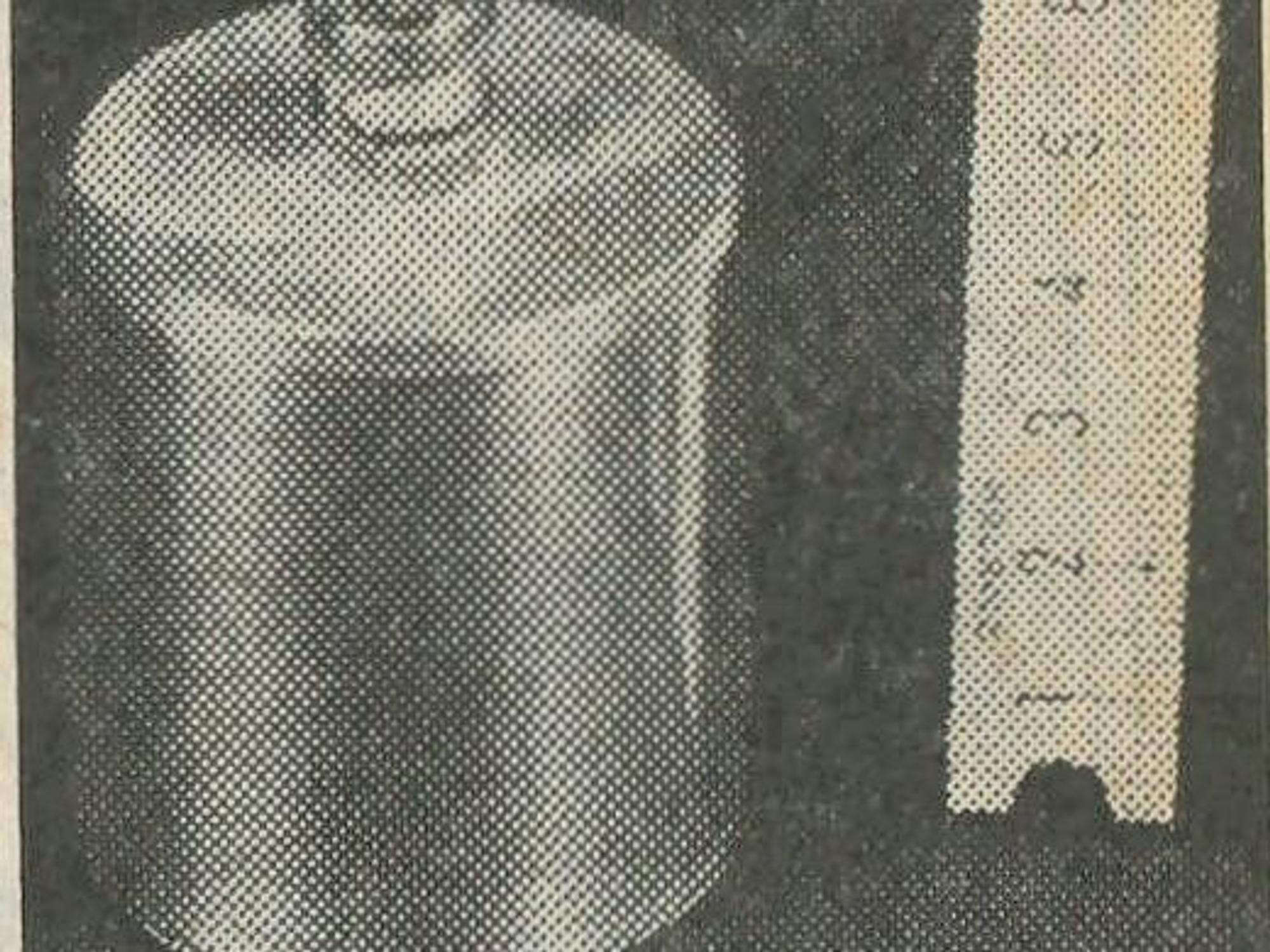 Zwei Zylinder aus Aluminium, 50 Millimeter hoch, gefüllt mit Zement, hatte der Täter dabei. Sprengstoff war nicht im Gefäß.