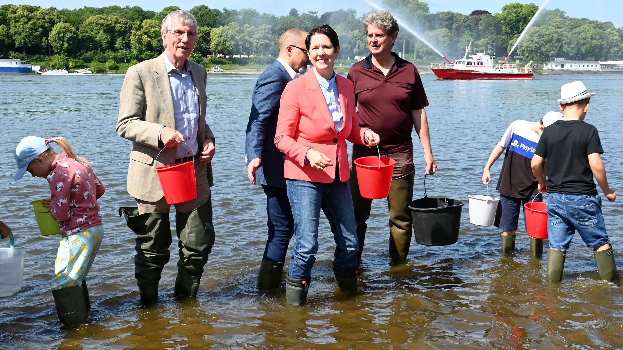 Im Juni 2025 setzte NRW-Landwirtschaftsministerin Silke Gorißen (rote Jacke) gemeinsam mit Schulkindern in Köln-Poll 50.000 Maifischlarven im Rhein aus.