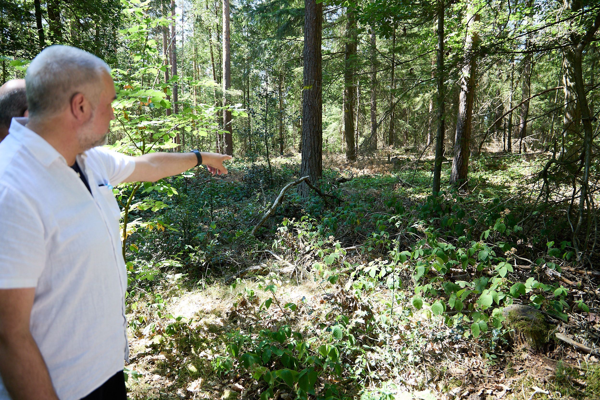 Ein Mann im Wald zeigt auf das frühere Feldgrab im Wald bei Burgfey.