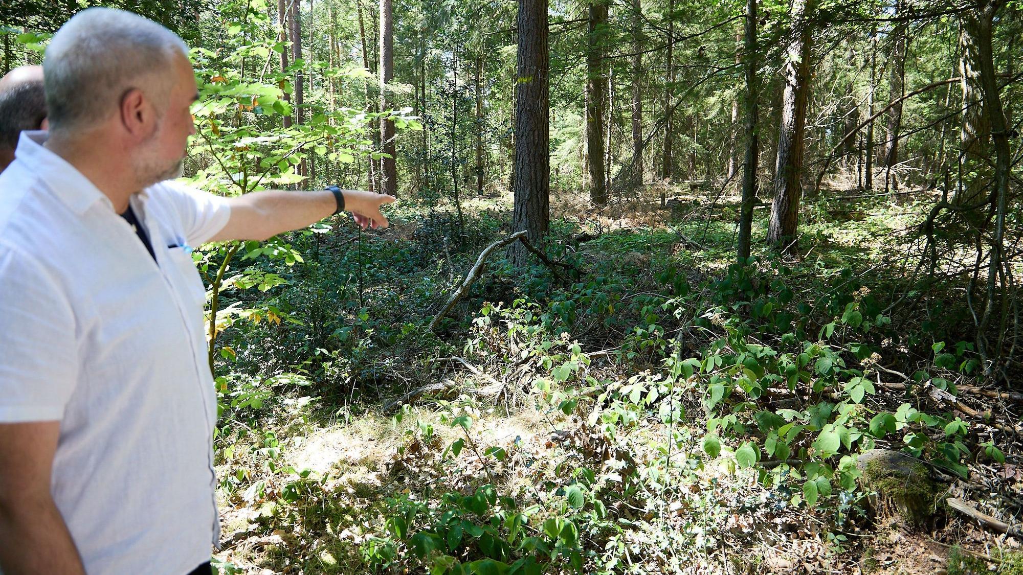 Ein Mann im Wald zeigt auf das frühere Feldgrab im Wald bei Burgfey.