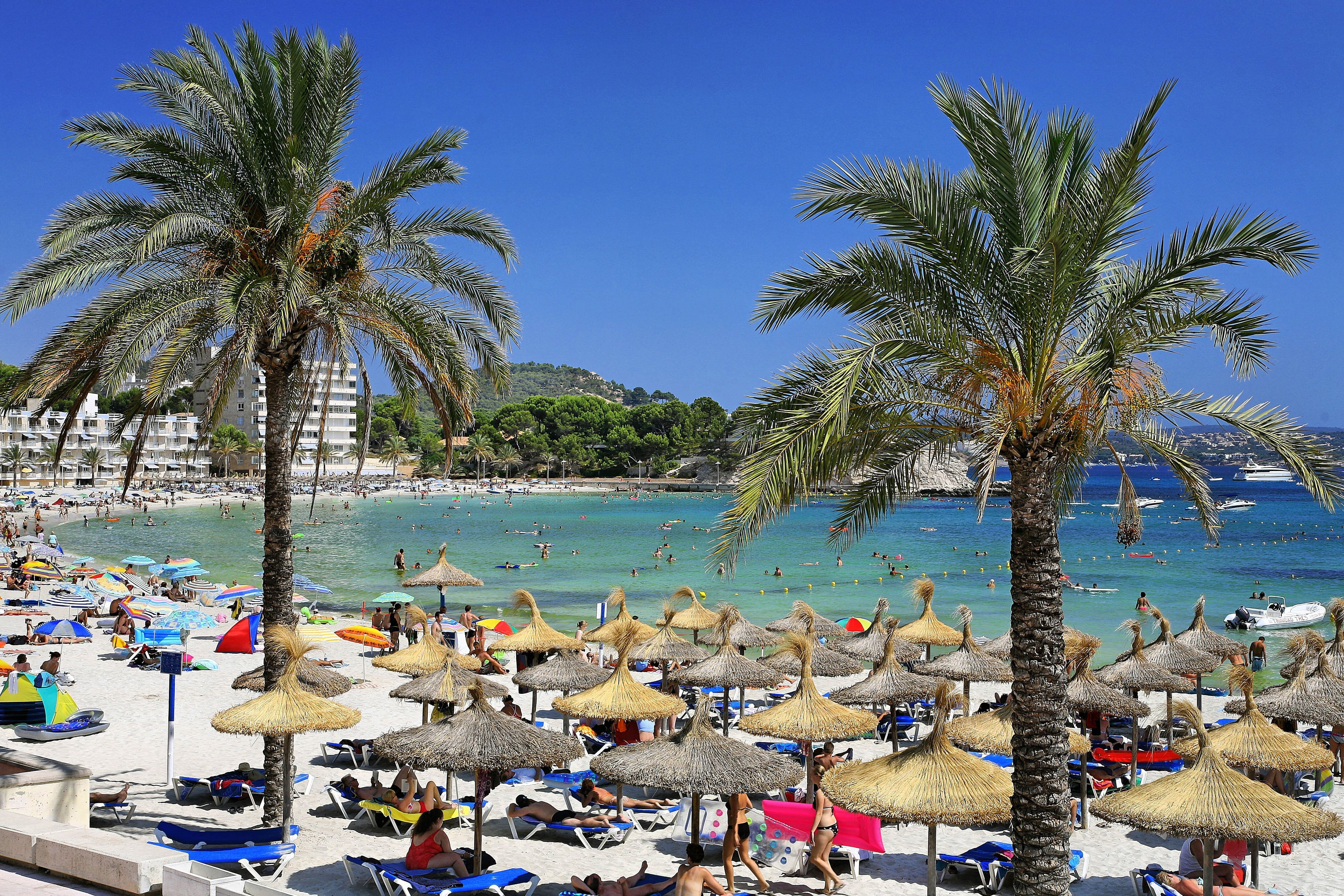 Urlauber an einer Badebucht mit Sonnenschirmen und Palmen.