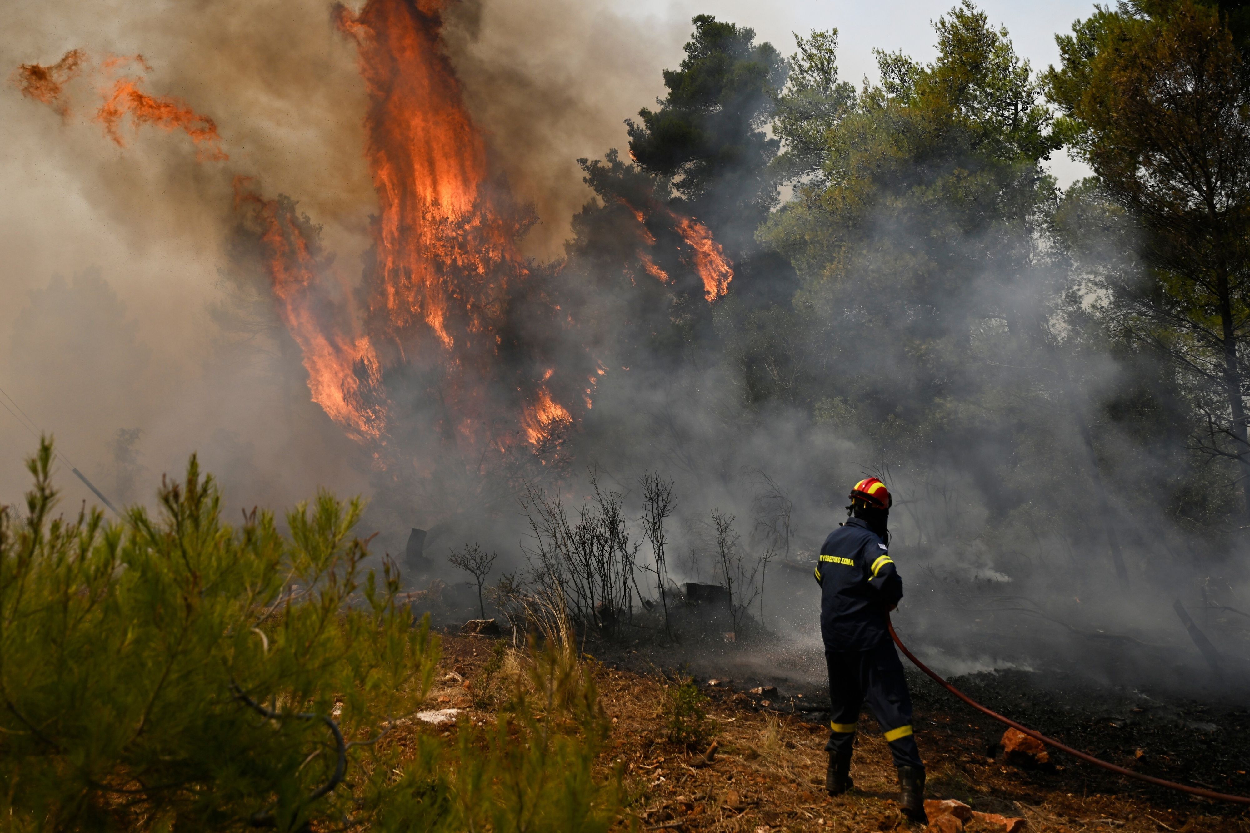 Ein Feuerwehrmann vor den Flammen eines Waldbrands.