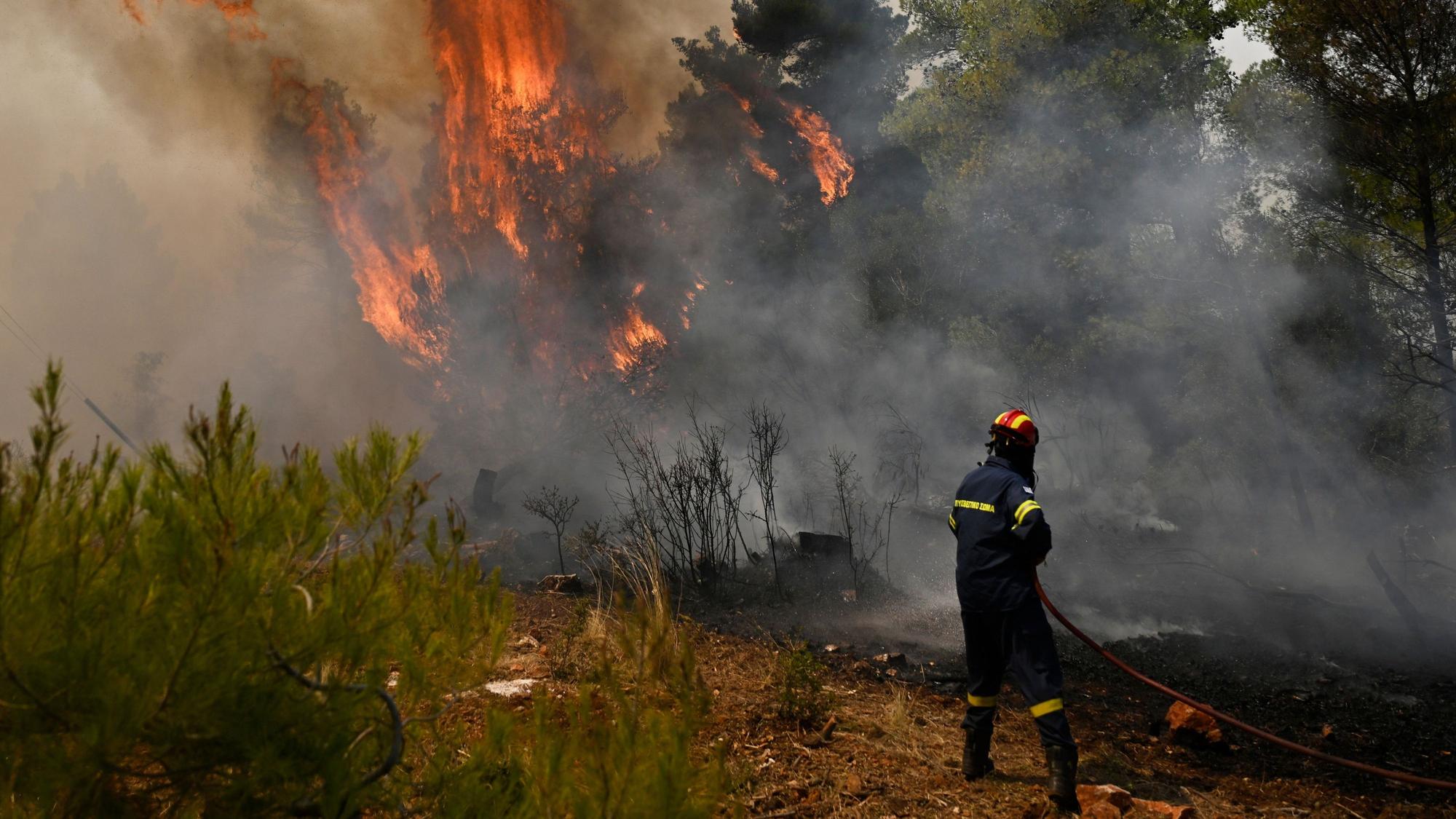 Ein Feuerwehrmann vor den Flammen eines Waldbrands.
