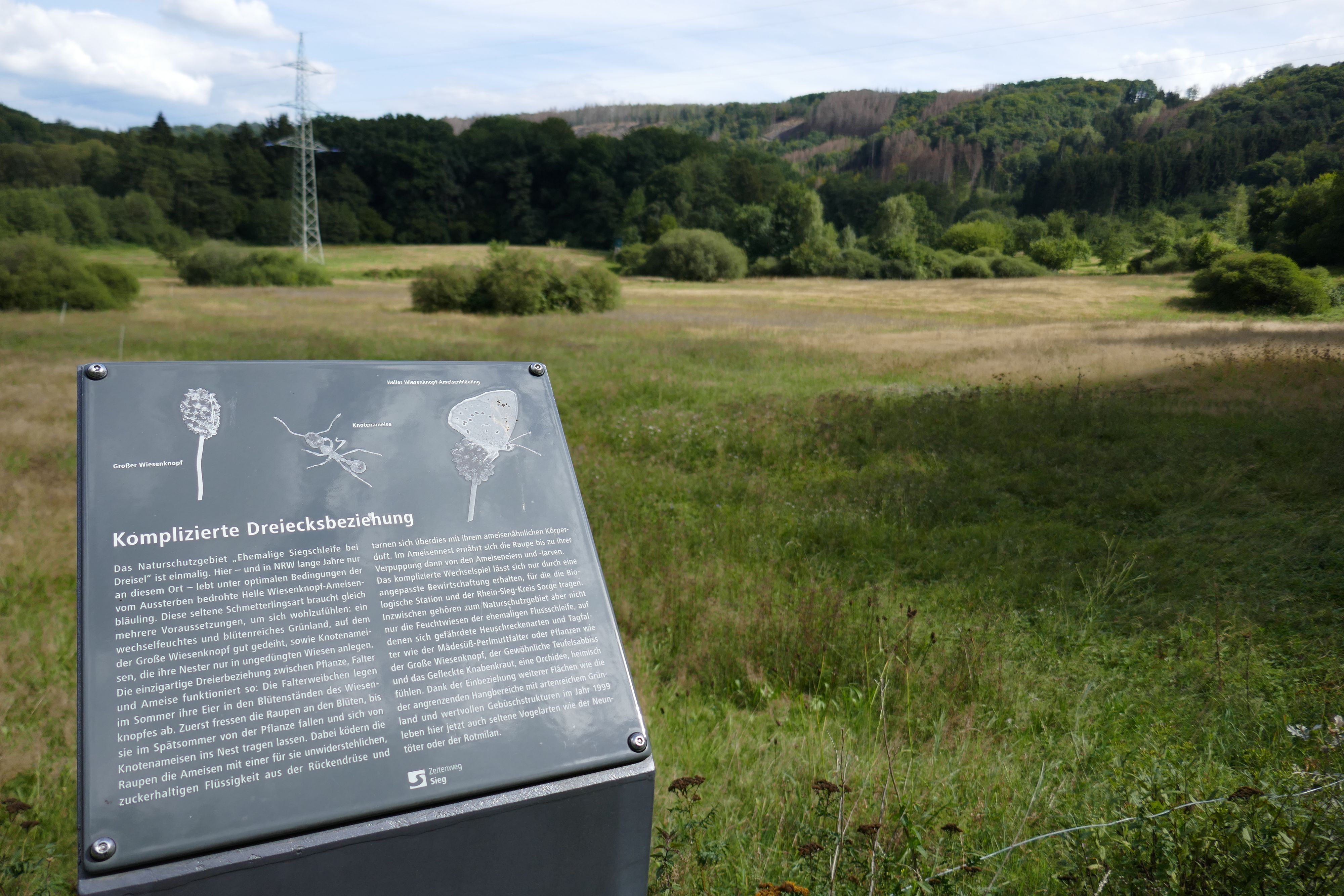 Unterwegs informieren Hinweistafeln über Flora und Fauna.