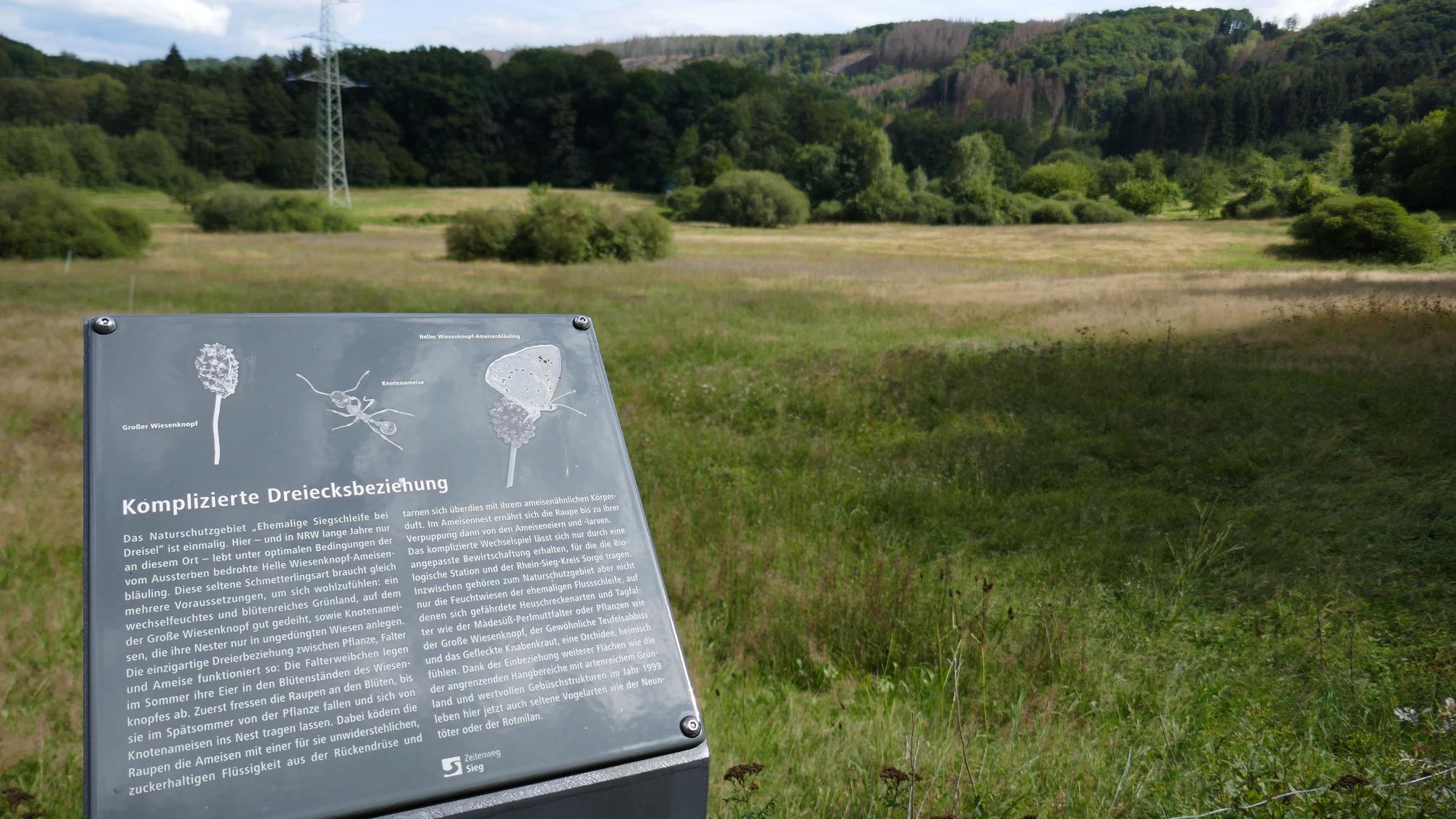 Unterwegs informieren Hinweistafeln über Flora und Fauna.