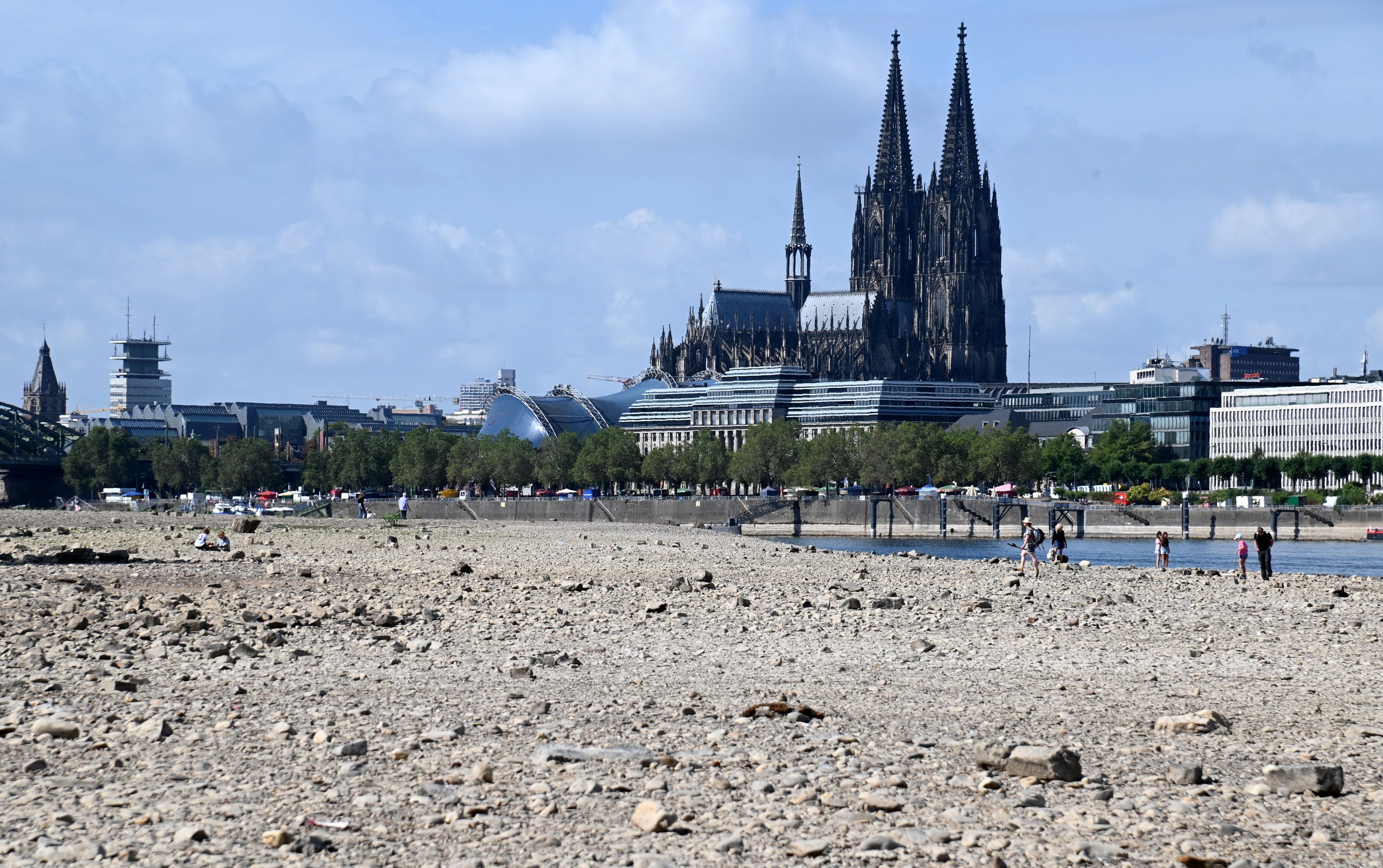 Viel Land, wenig Wasser: Der Rhein ist in Köln am Freitag erneut auf einen historischen Tiefstand gefallen. (Archivbild)