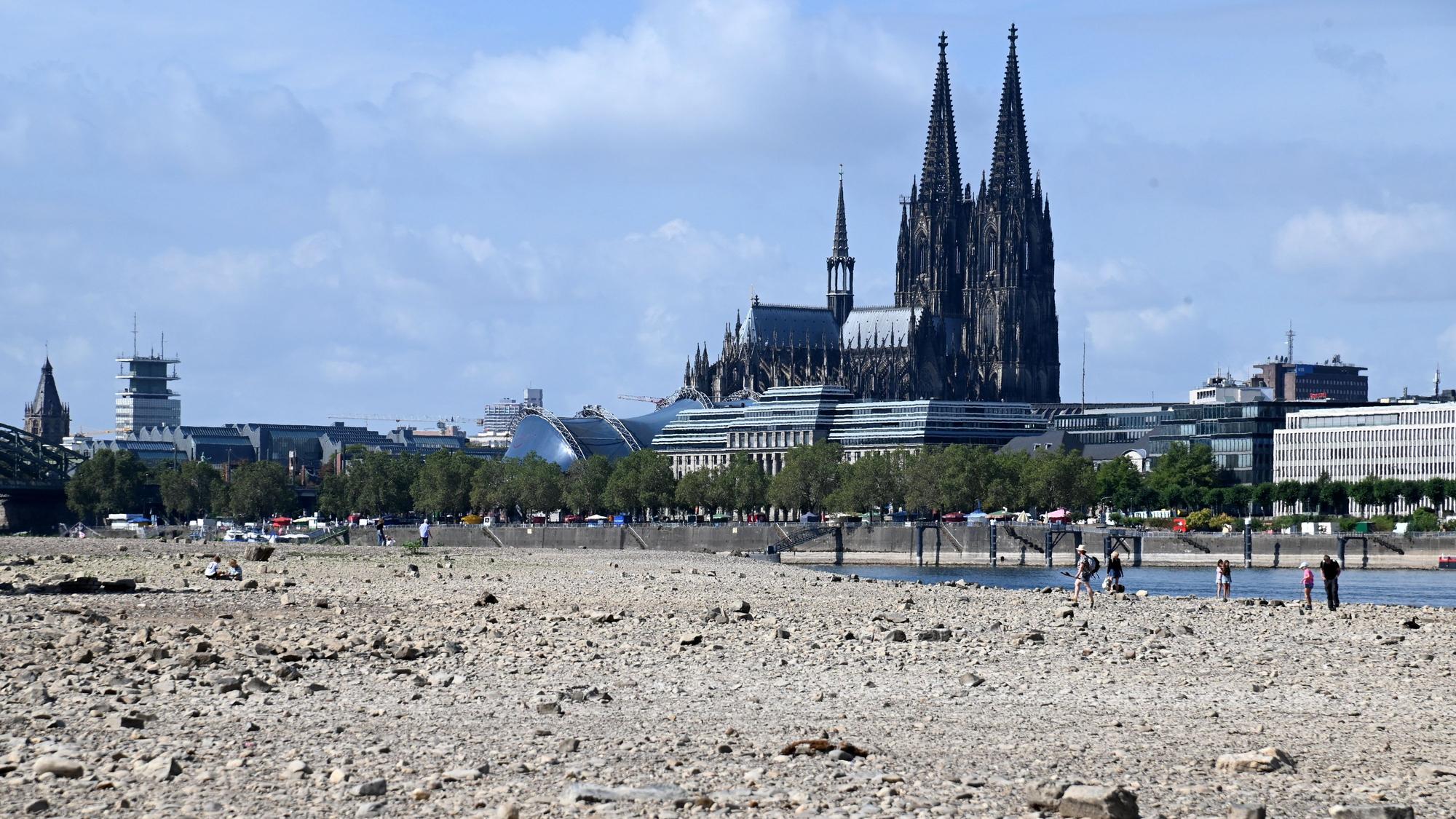 Viel Land, wenig Wasser: Der Rhein ist in Köln am Freitag erneut auf einen historischen Tiefstand gefallen. (Archivbild)