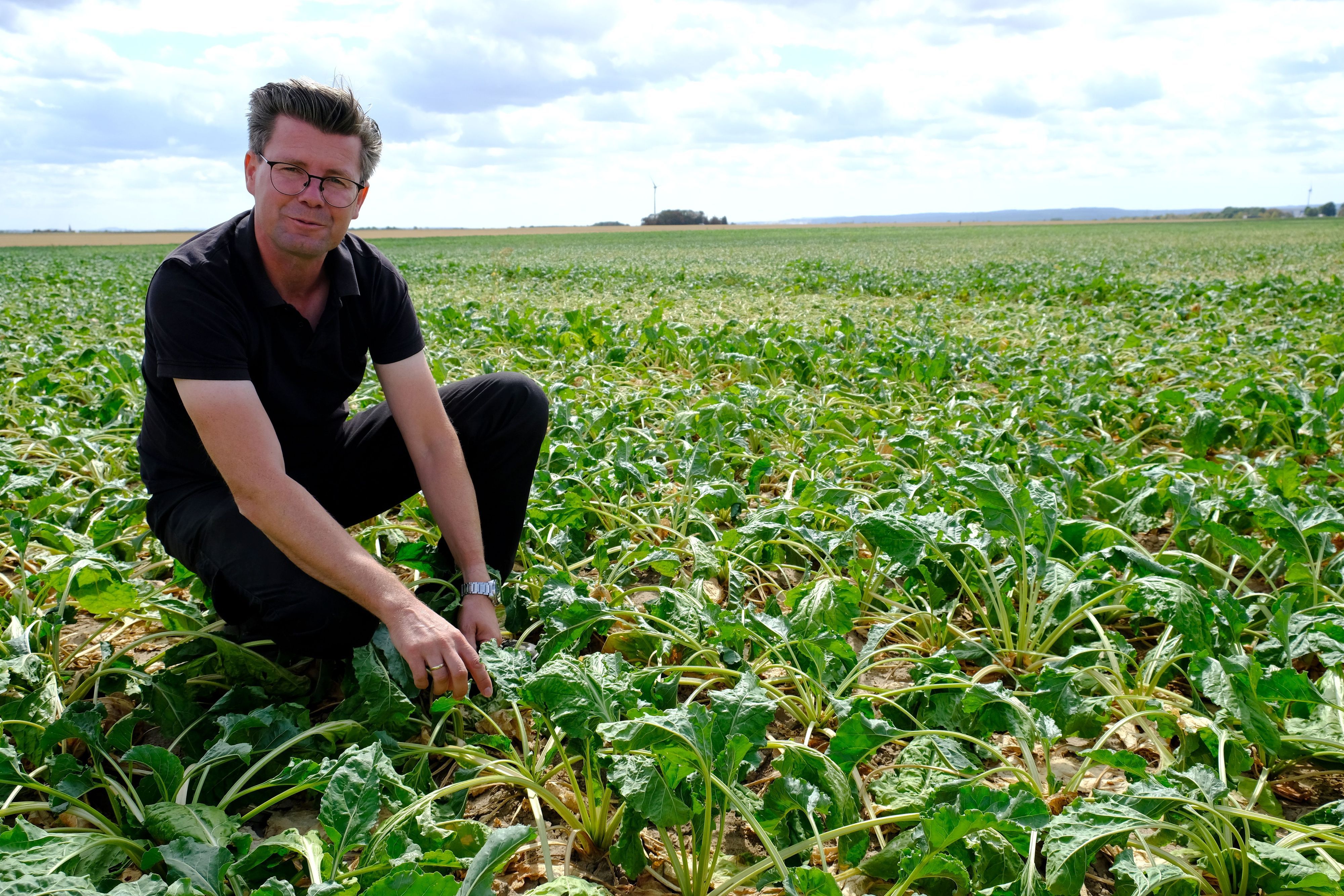 Landwirt Toni Winkelhag kniet in schwarzer Kleidung auf einem Zuckerrübenfeld.
