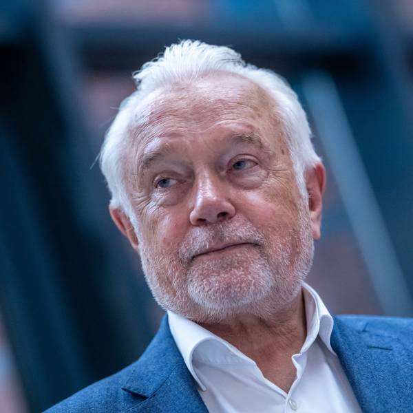 FDP-Chef Wolfgang Kubicki
