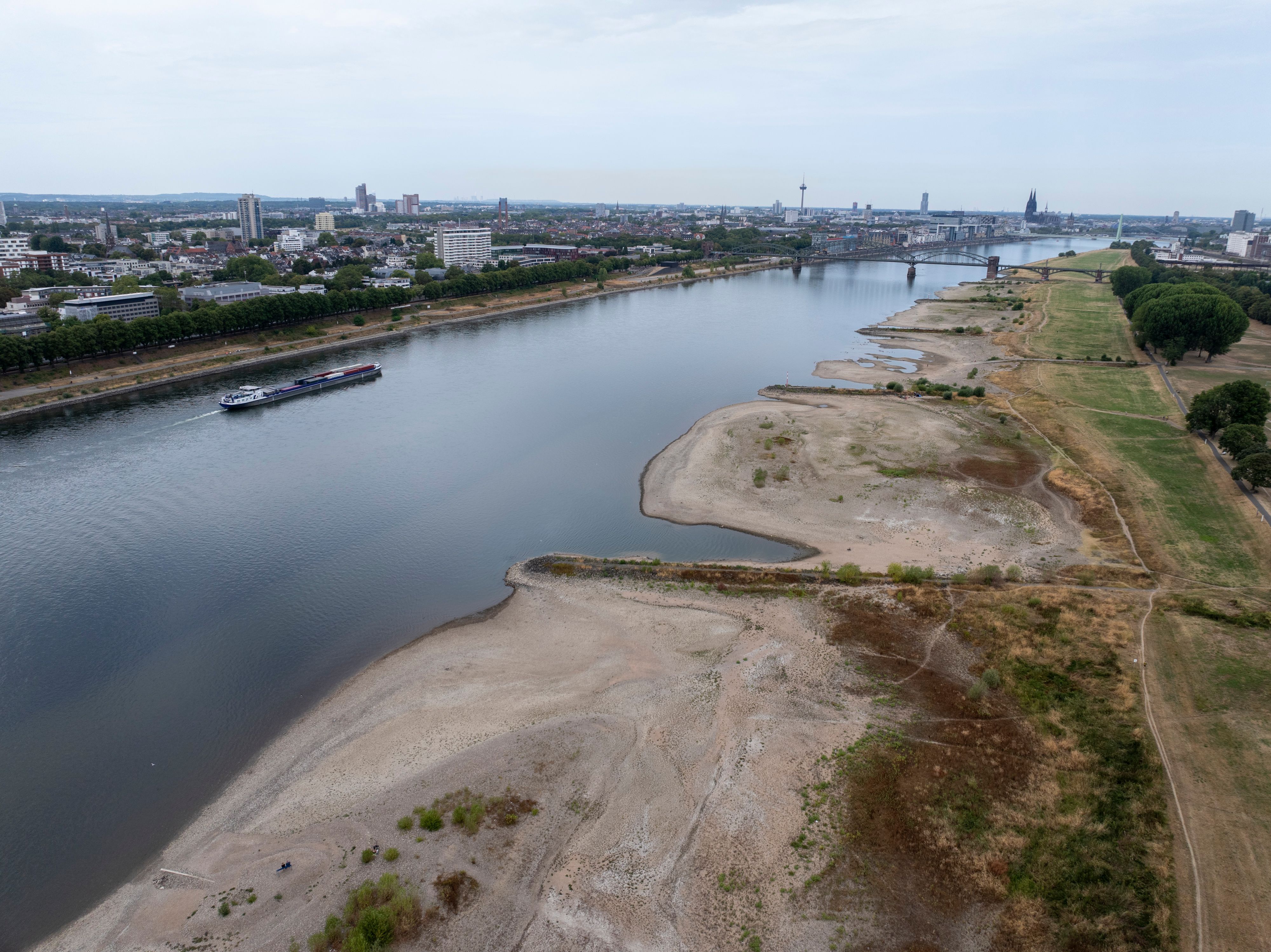Die Kiesbänke an den Poller Wiesen wirken wie eine Wüste in der Sommerhitze.  Der Rhein führt extremes Niedrigwasser, die Binnenschifffahrt ist nur noch eingeschränkt möglich.