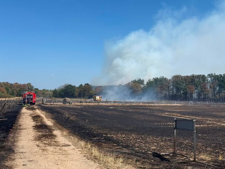 In Swisttal ist ein Brand auf einem Feld ausgebrochen. Die Flammen haben auf den Wald übergegriffen.