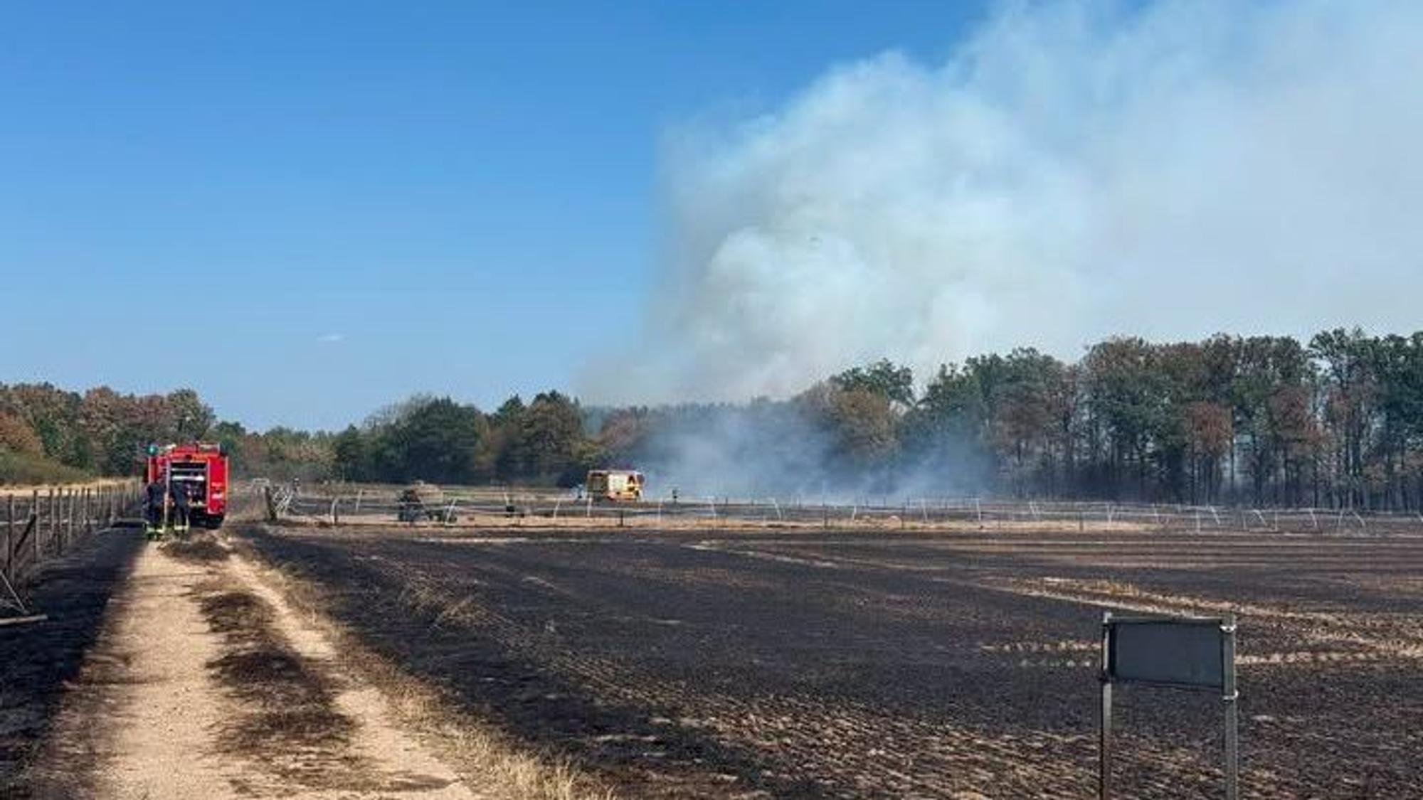 In Swisttal ist ein Brand auf einem Feld ausgebrochen. Die Flammen haben auf den Wald übergegriffen.