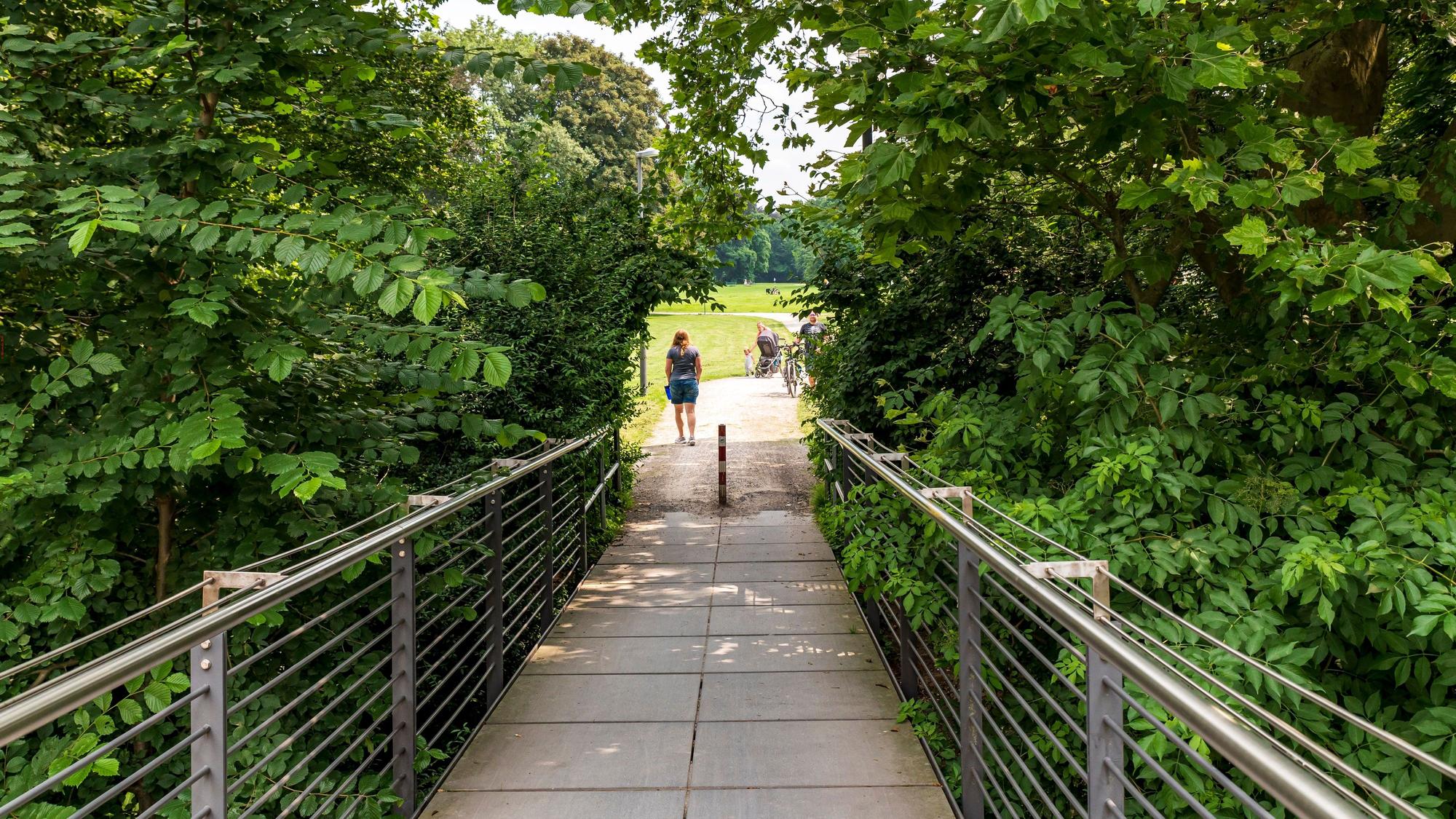 Im Kölner Nordpark verwandelt die Stadt gerade Trampelpfade in offizielle Wege.