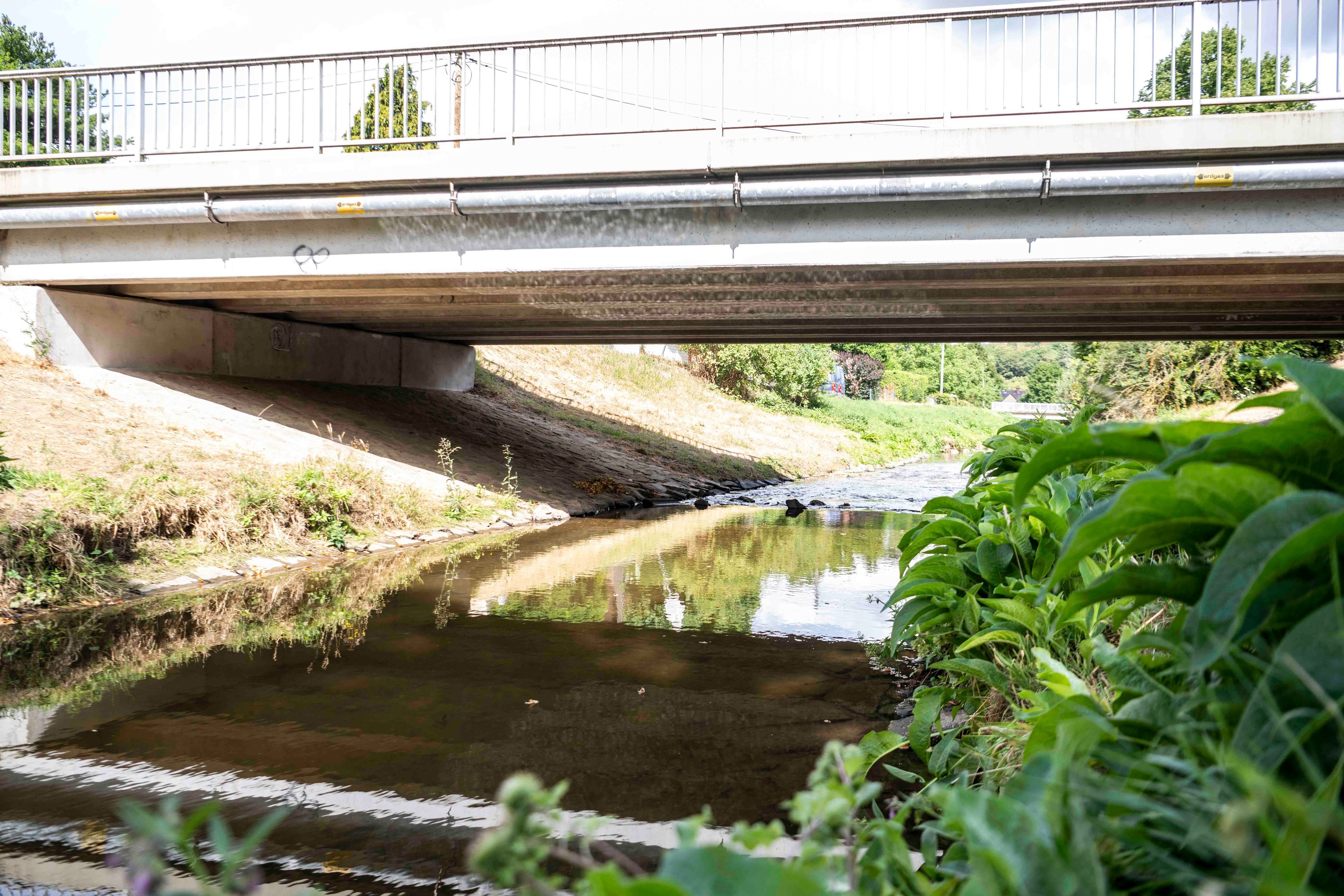 Die Brücke an der Drei-Eichen-Straße und der darunter liegende Bach.