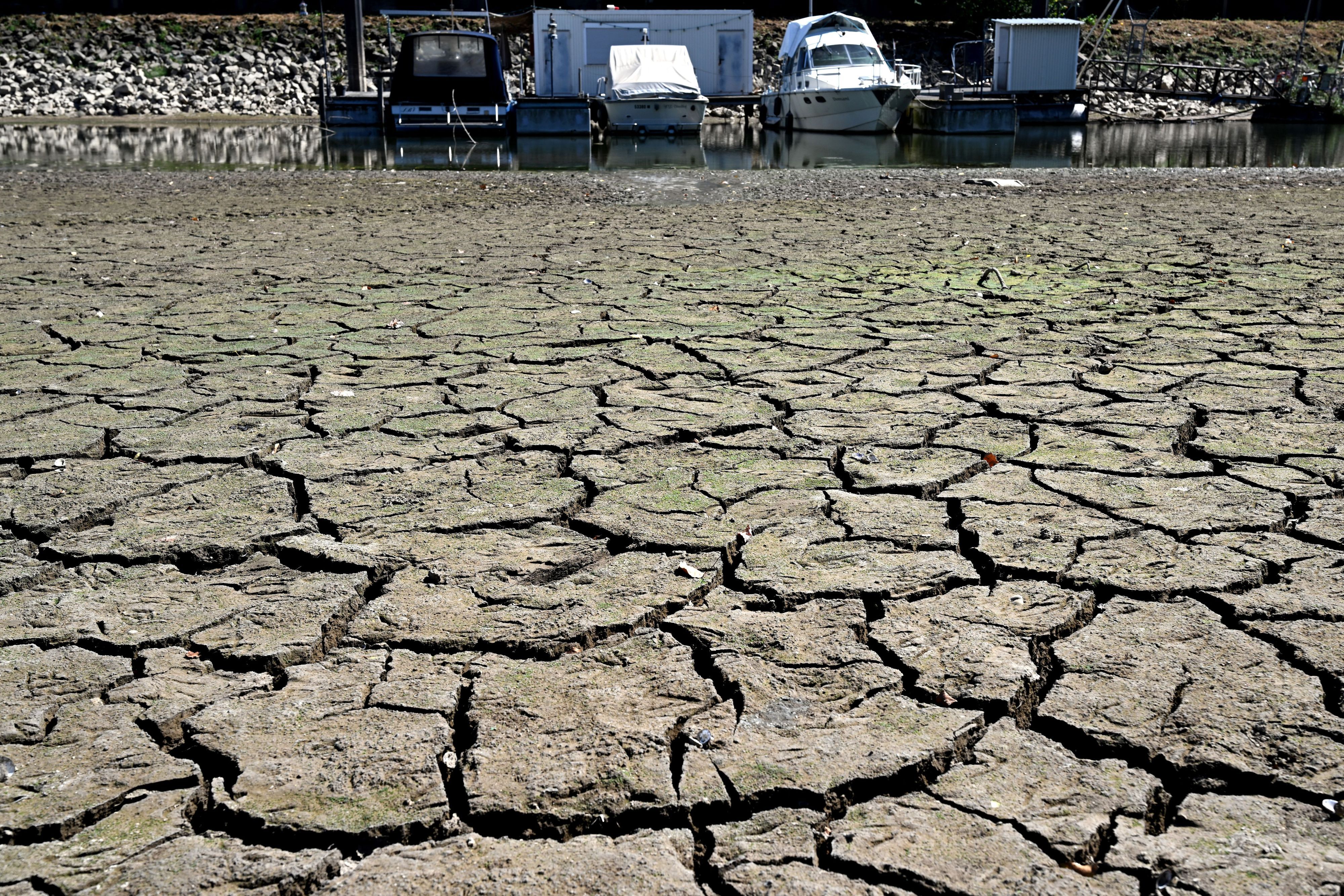 In Düsseldorf liegen Boote in einem wegen des niedrigen Wasserstands im Rhein trocken gefallenen Hafenbecken. Foto: dpa