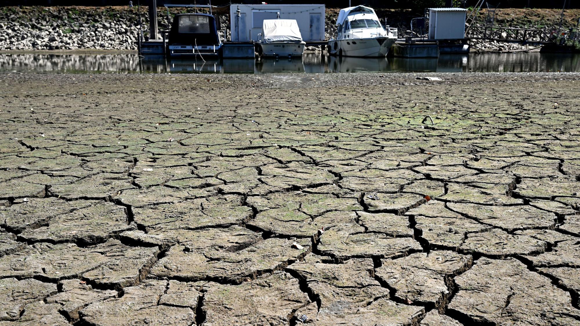 In Düsseldorf liegen Boote in einem wegen des niedrigen Wasserstands im Rhein trocken gefallenen Hafenbecken. Foto: dpa