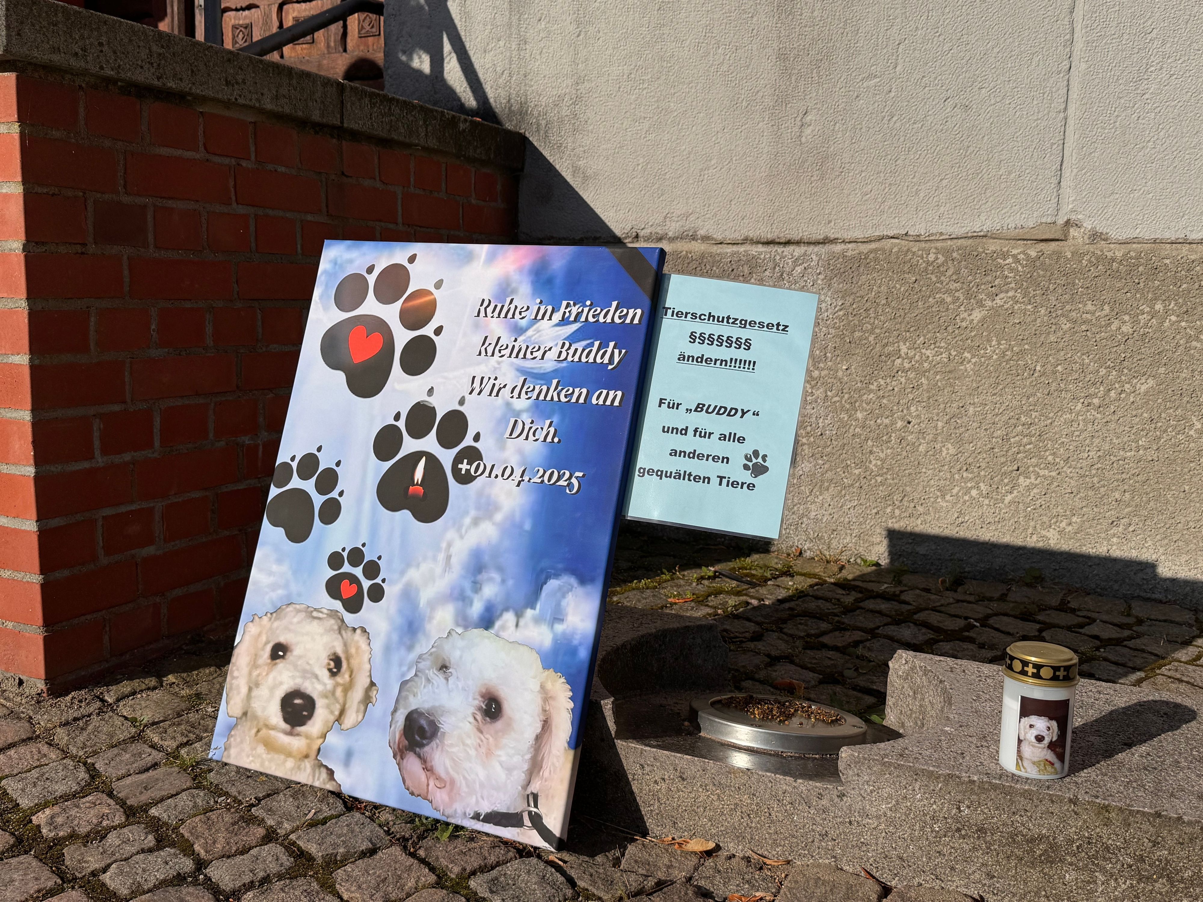 Vor dem Gerichtsgebäude wurden unter anderem ein Erinnerungsplakat und eine Kerze mit dem Bild von „Buddy“ aufgestellt. (Archivbild)