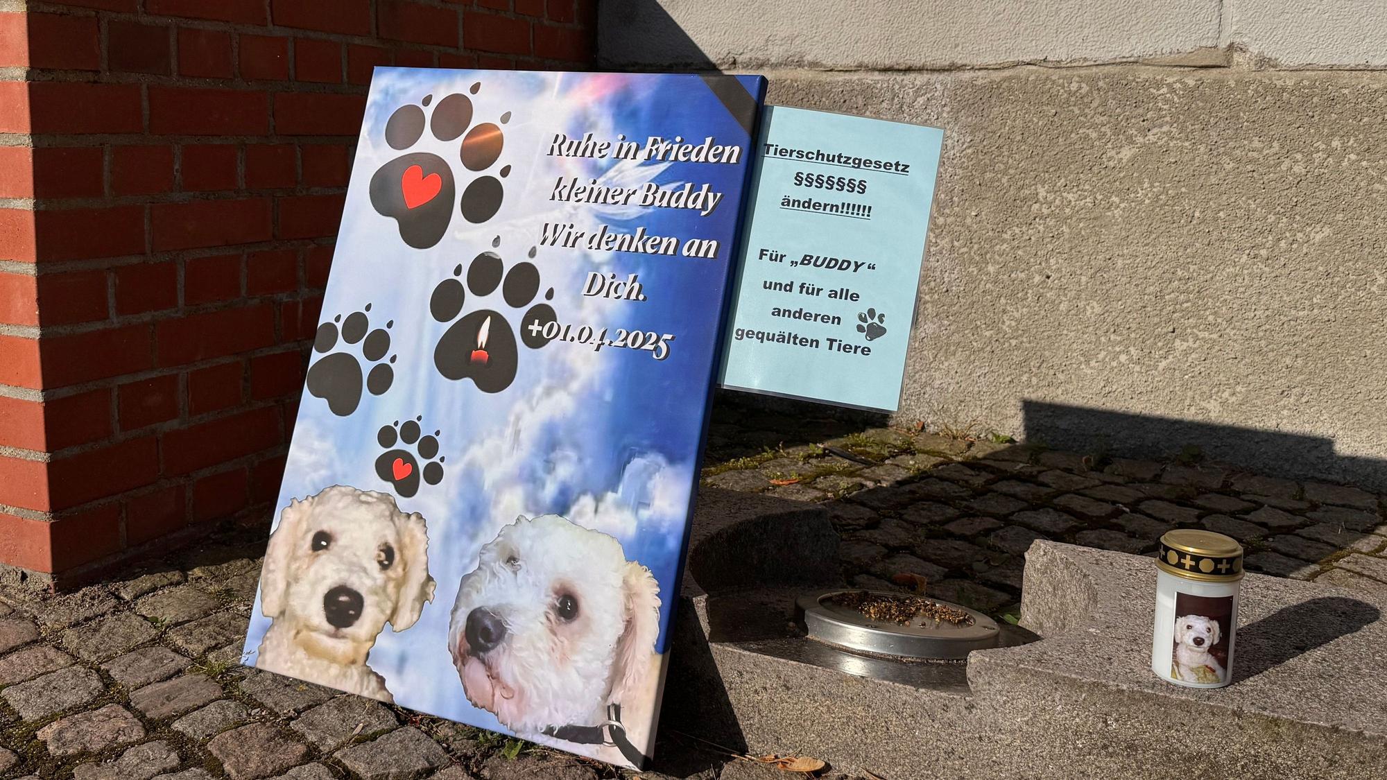 Vor dem Gerichtsgebäude wurden unter anderem ein Erinnerungsplakat und eine Kerze mit dem Bild von „Buddy“ aufgestellt. (Archivbild)