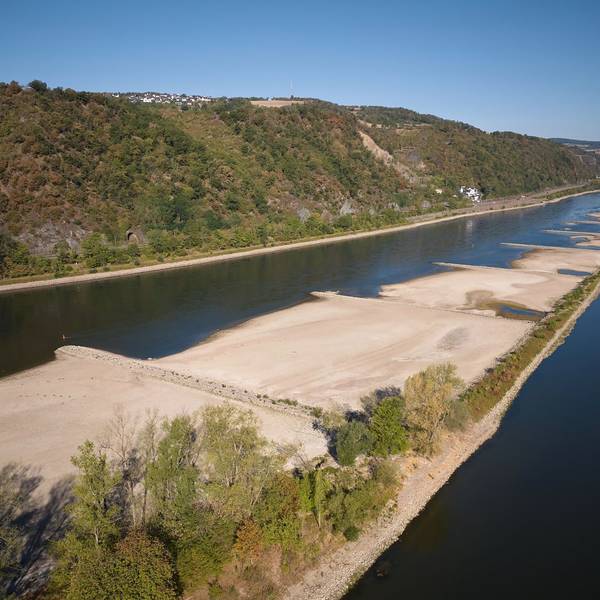 Wirtschaftliche Folgen des Rhein-Niedrigwassers