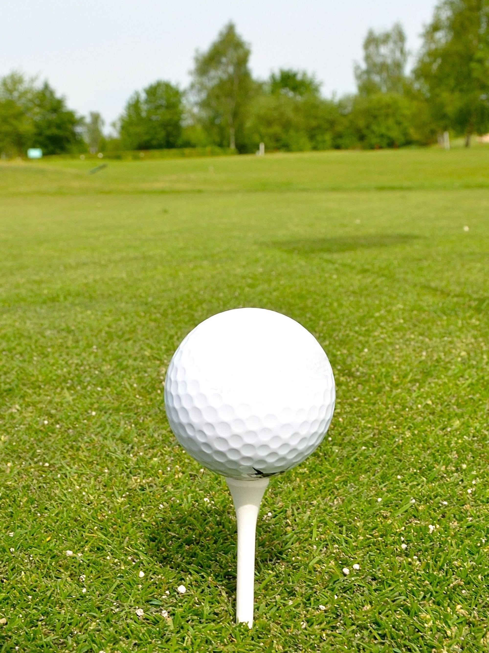Das Bild zeigt einen Golfball auf einem sogenannten Tee.