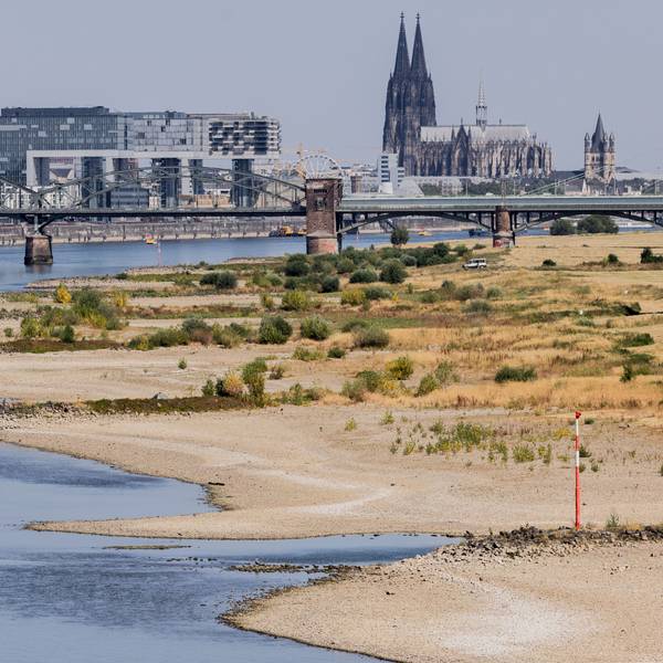 Binnenschiffe fahren bei Niedrigwasser vor der Kulisse des Kölner Doms über den Rhein. (Archivbild)