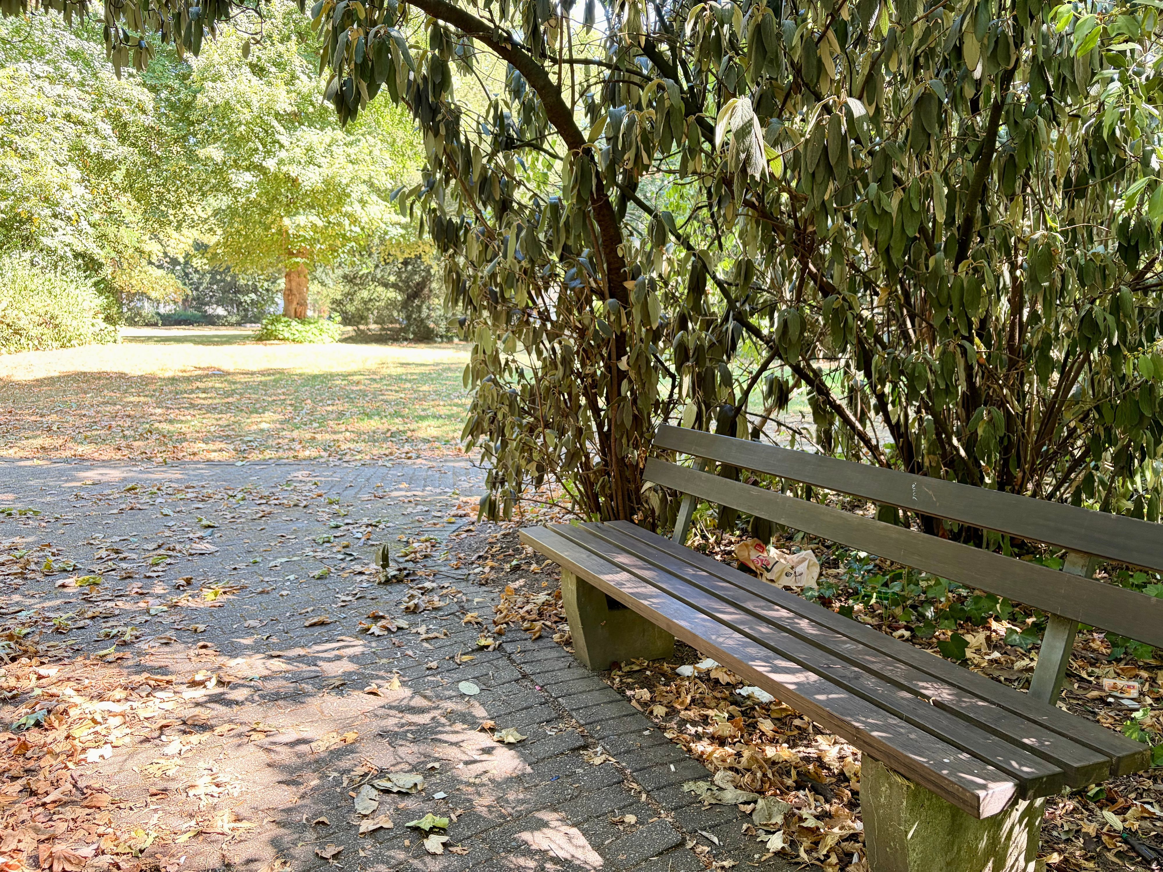 Bank im Park an der Villa Römer