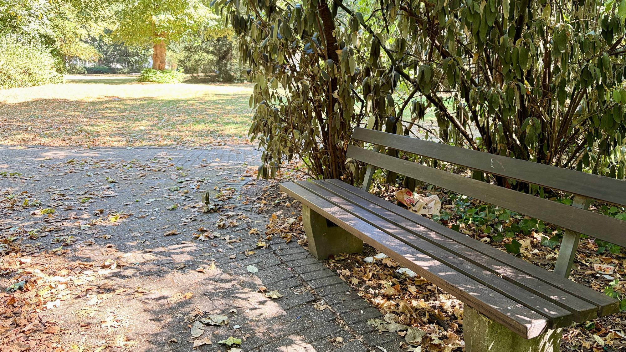 Bank im Park an der Villa Römer