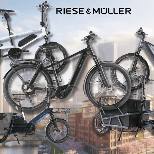4 verschiedene Riese & Müller E-Bikes vor einem Fahrradweg am Waldran neben einem Fluss.