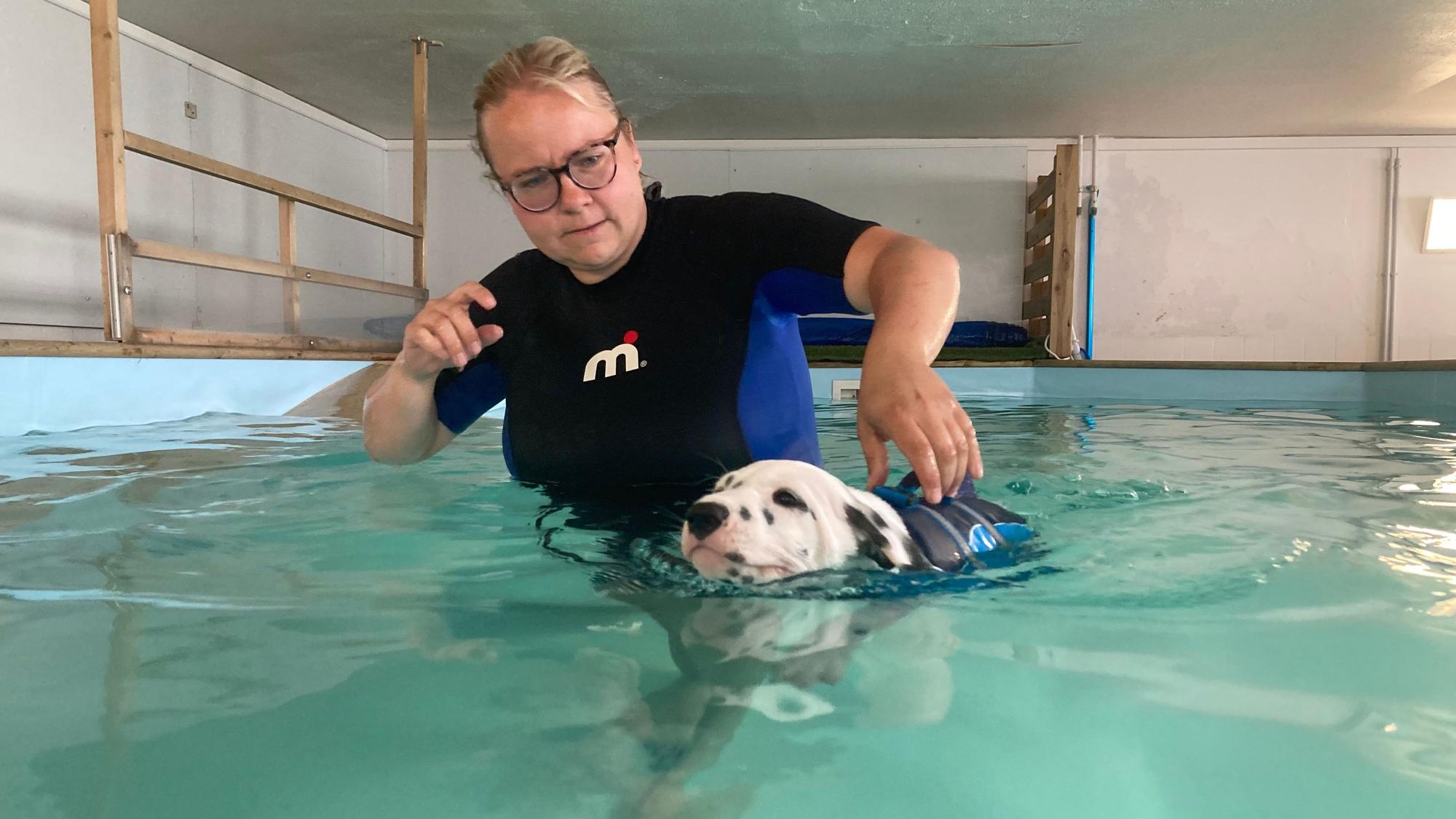 Mitarbeiterin Julia Scholz begleitet einen Welpen beim ersten Schwimmversuch.