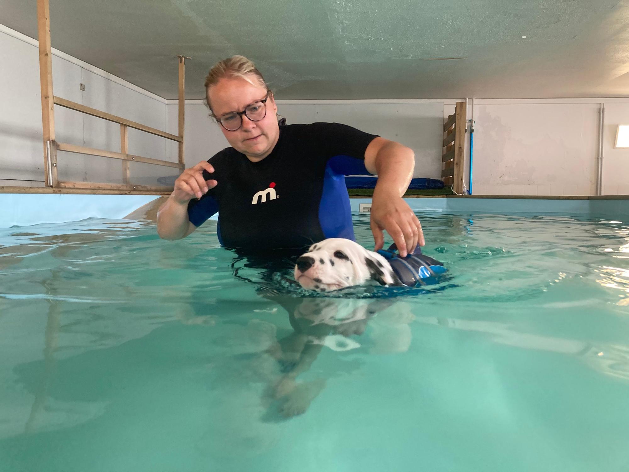 Mitarbeiterin Julia Scholz unterstützt einen Welpen bei seiner ersten Schwimmstunde.