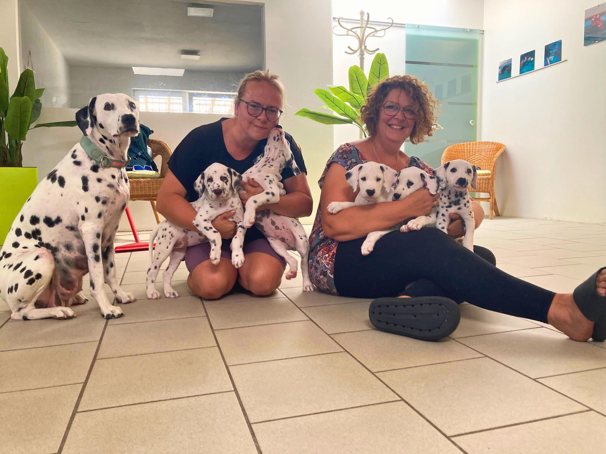 Bereit für die erste Schwimmstunde (v.l.): Dalmatinermama Schmitzi, Mitarbeiterin Julia Scholz und Tierheilpraktikerin Katrin Wenk.