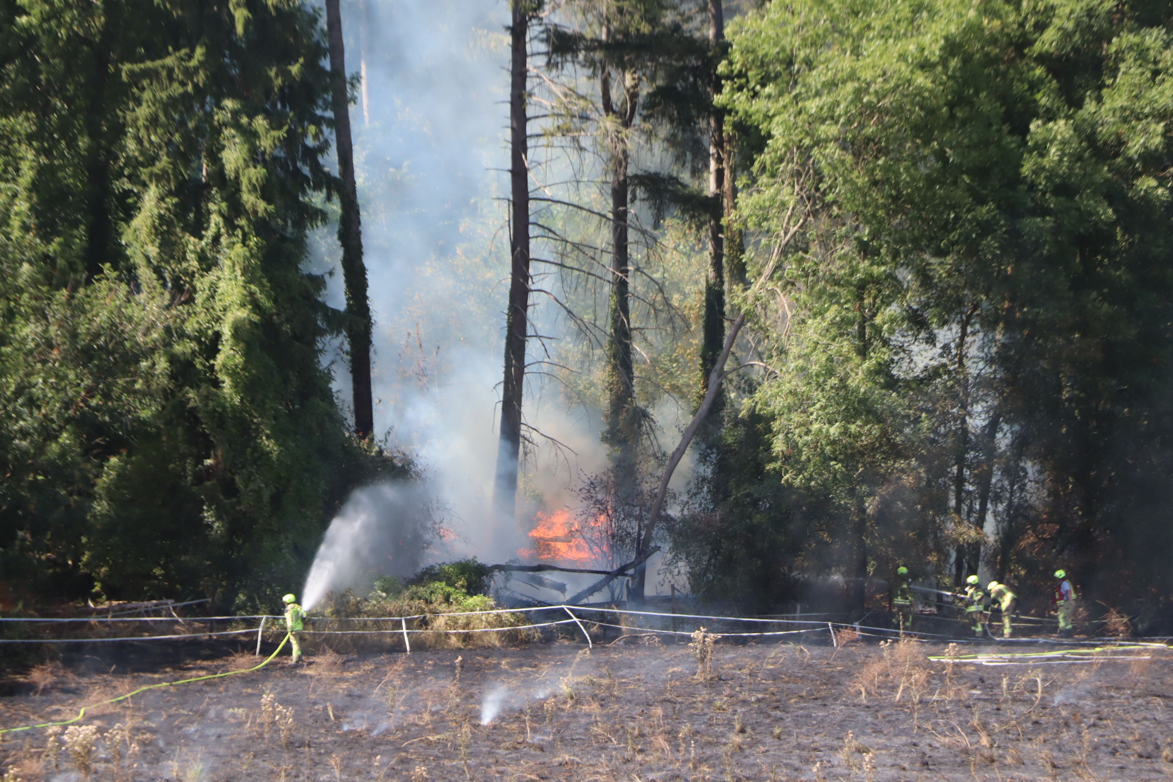 Feuer im Wald des Kitzburger Waldes. Auch an den Nadelbäumen züngelten die Flammen empor.