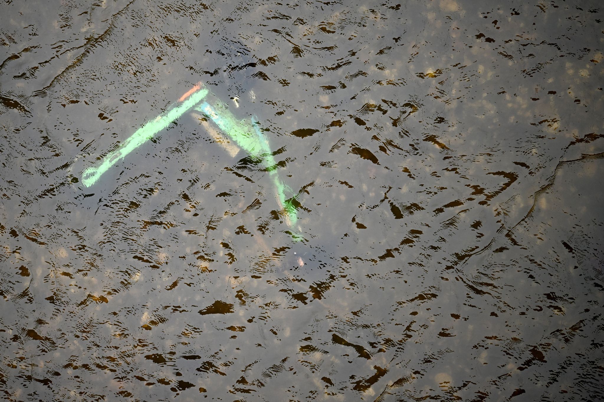 Niedrigwasser im Rhein