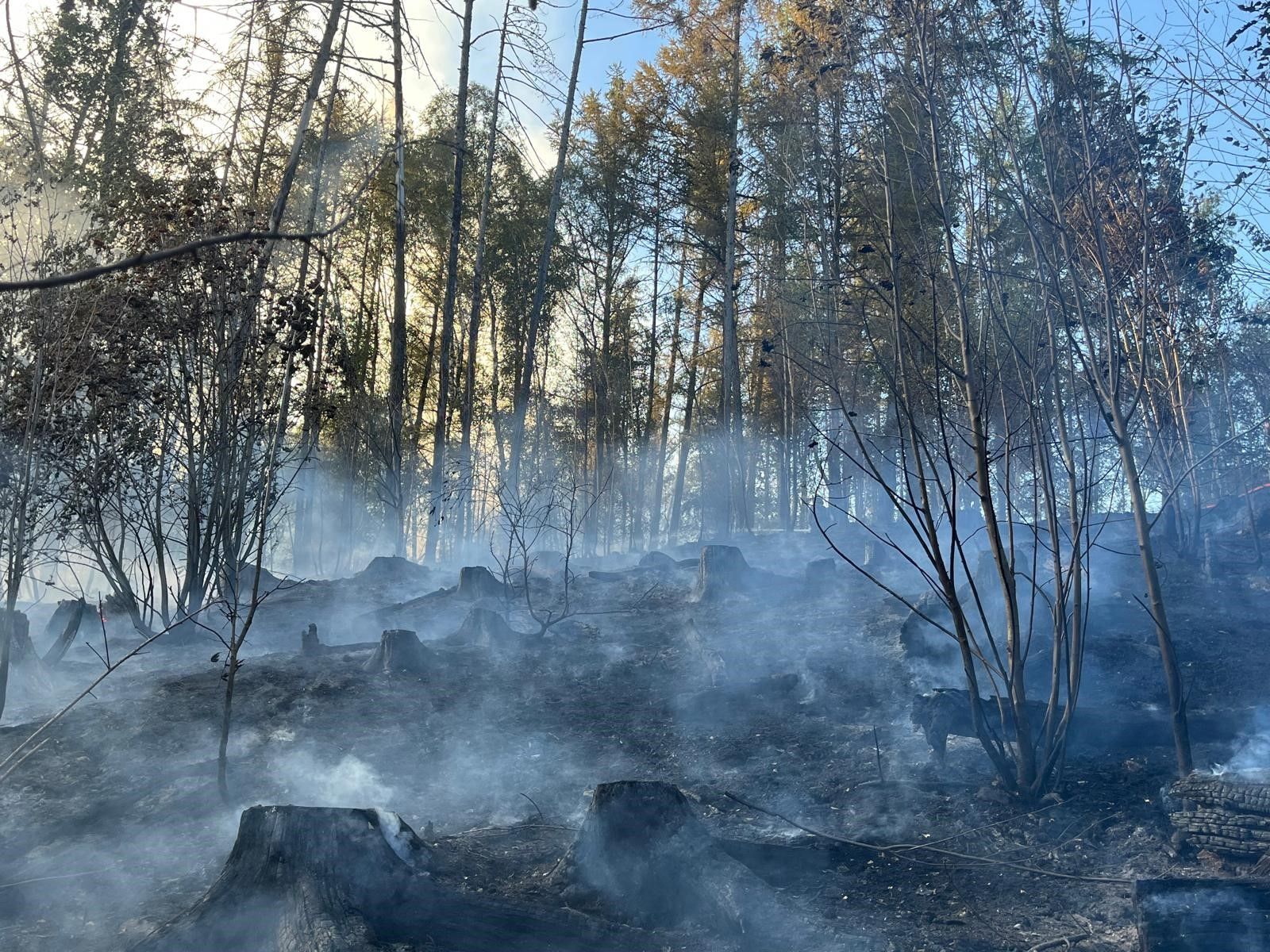 Feuer an der Wolfsschlade in Lindlar. 130 Einsatzkräfte bekämpfen einen rund zwei Hektar großen Waldbrand.