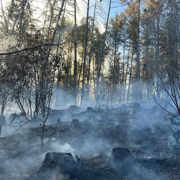 Feuer an der Wolfsschlade in Lindlar. 130 Einsatzkräfte bekämpfen einen rund zwei Hektar großen Waldbrand.