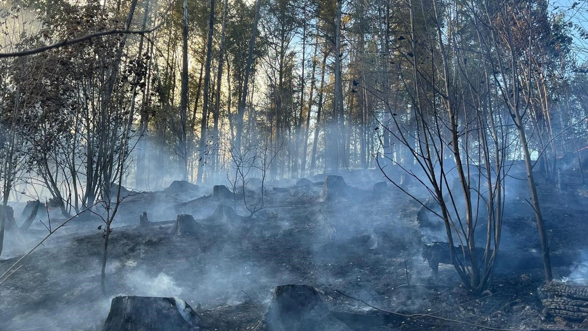 Feuer an der Wolfsschlade in Lindlar. 130 Einsatzkräfte bekämpfen einen rund zwei Hektar großen Waldbrand.