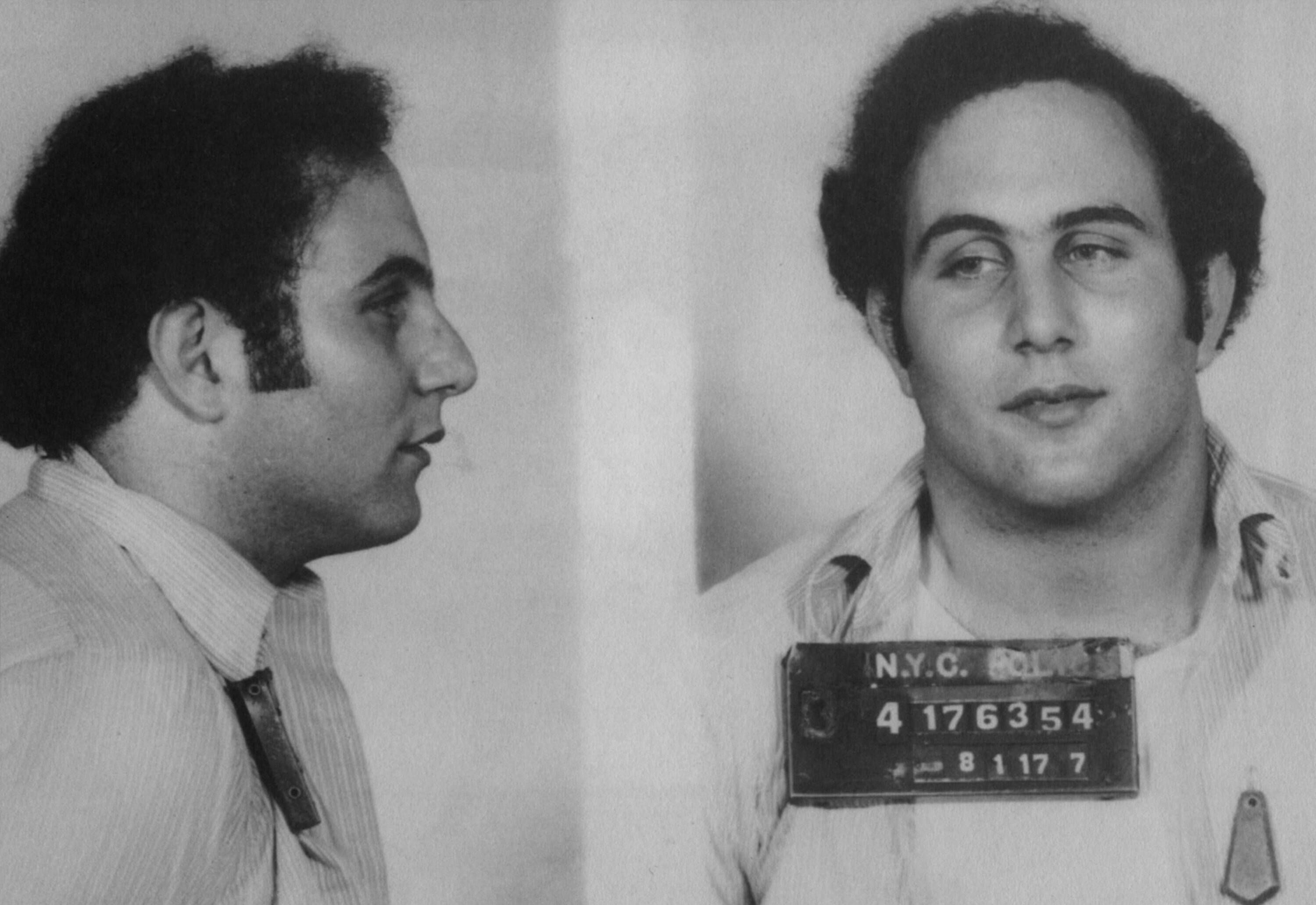 David Berkowitz Mugshot