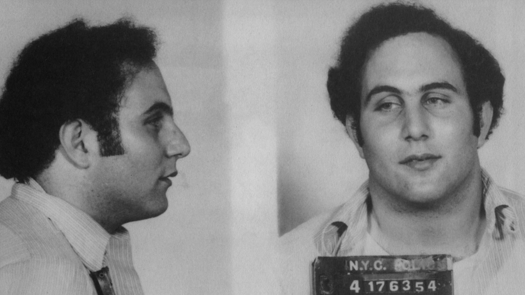 David Berkowitz Mugshot