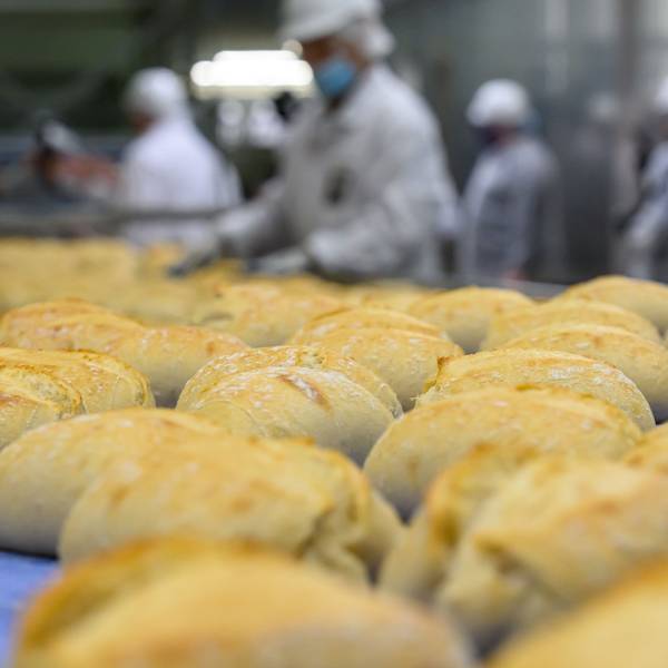 Das Bild zeigt die Produktion von Brötchen in einer Großbäckerei.
