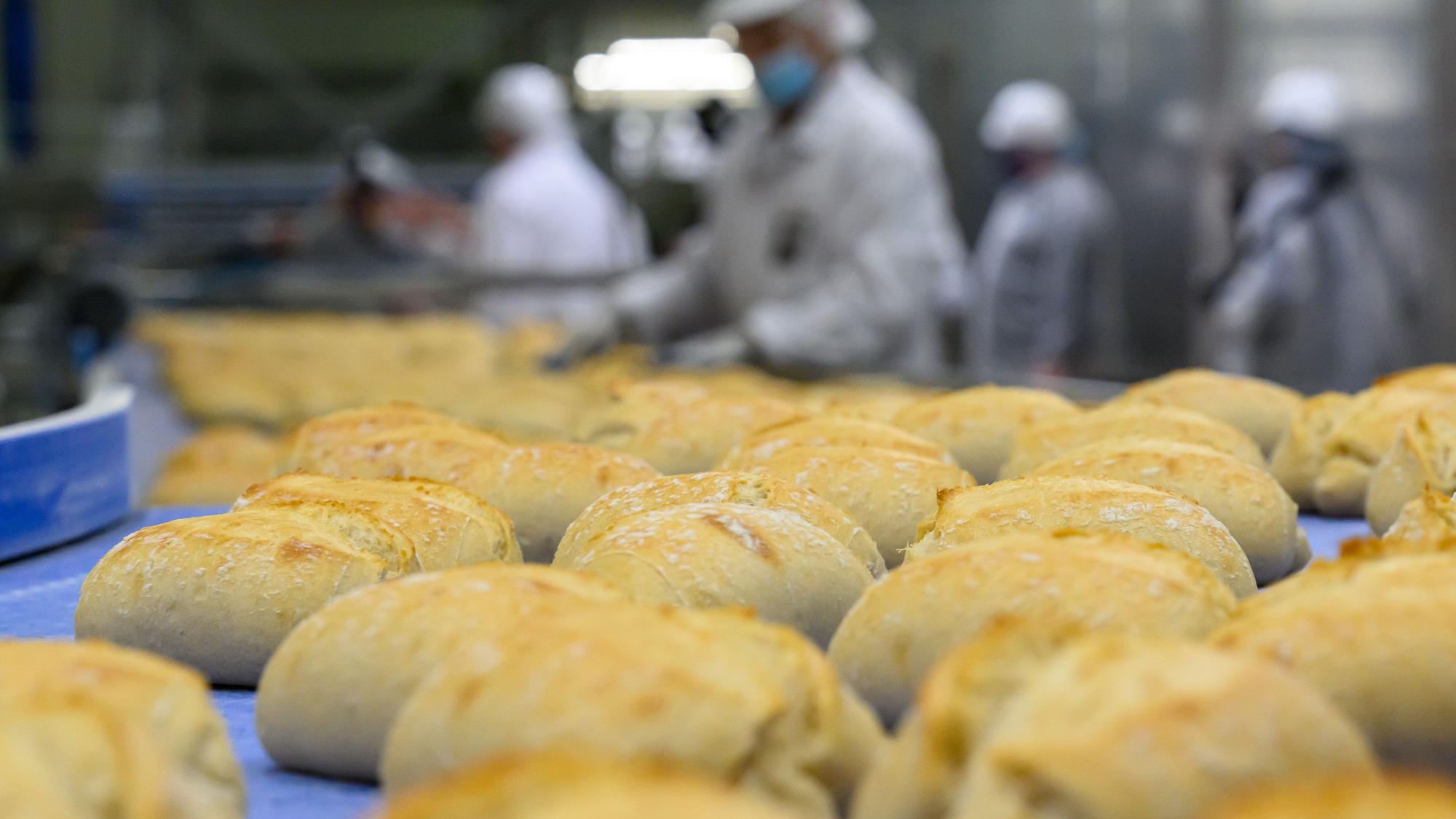 Das Bild zeigt die Produktion von Brötchen in einer Großbäckerei.