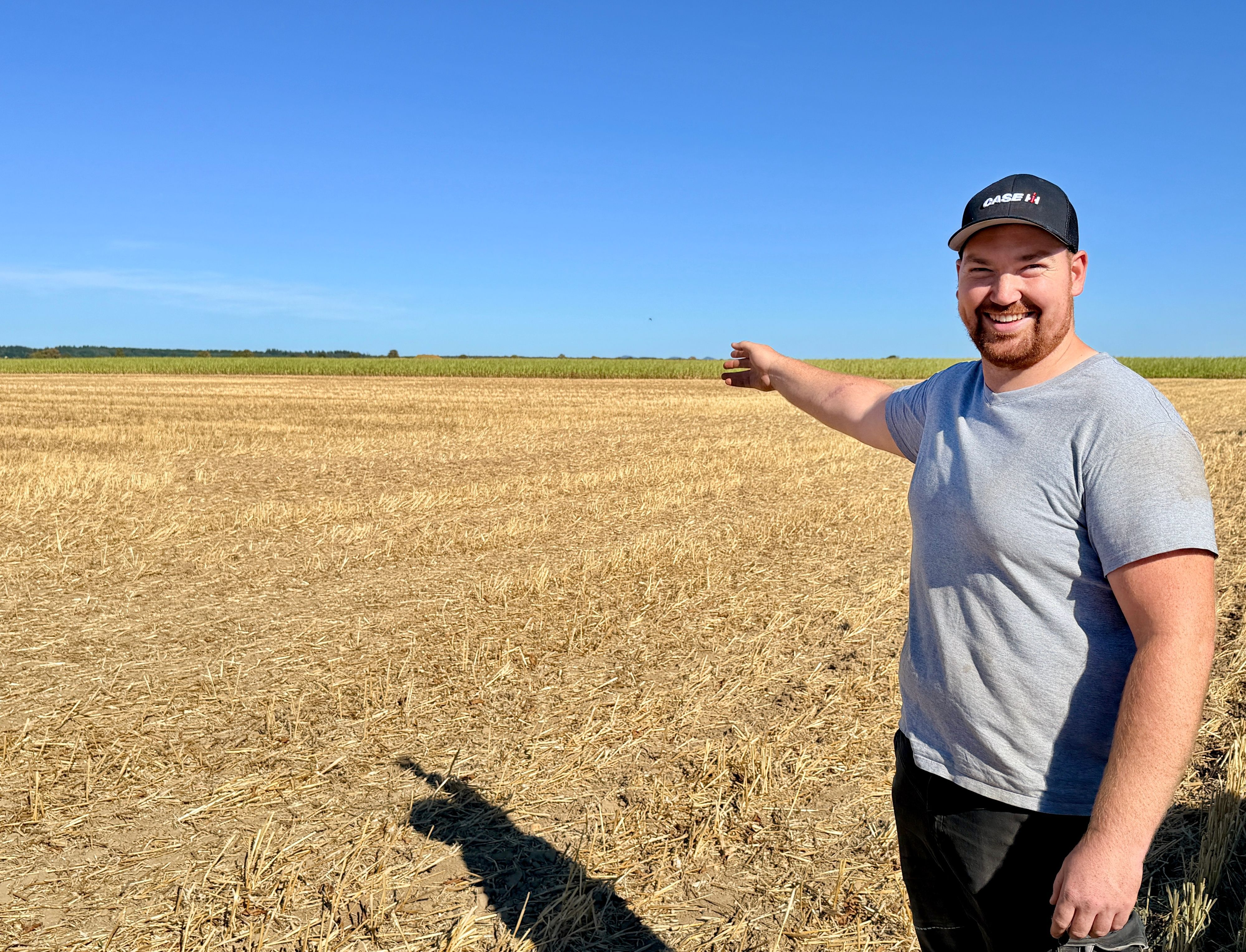 Ein junger Landwirt zeigt auf das Feld, auf dem sie Rohrweihe gebrütet hat.