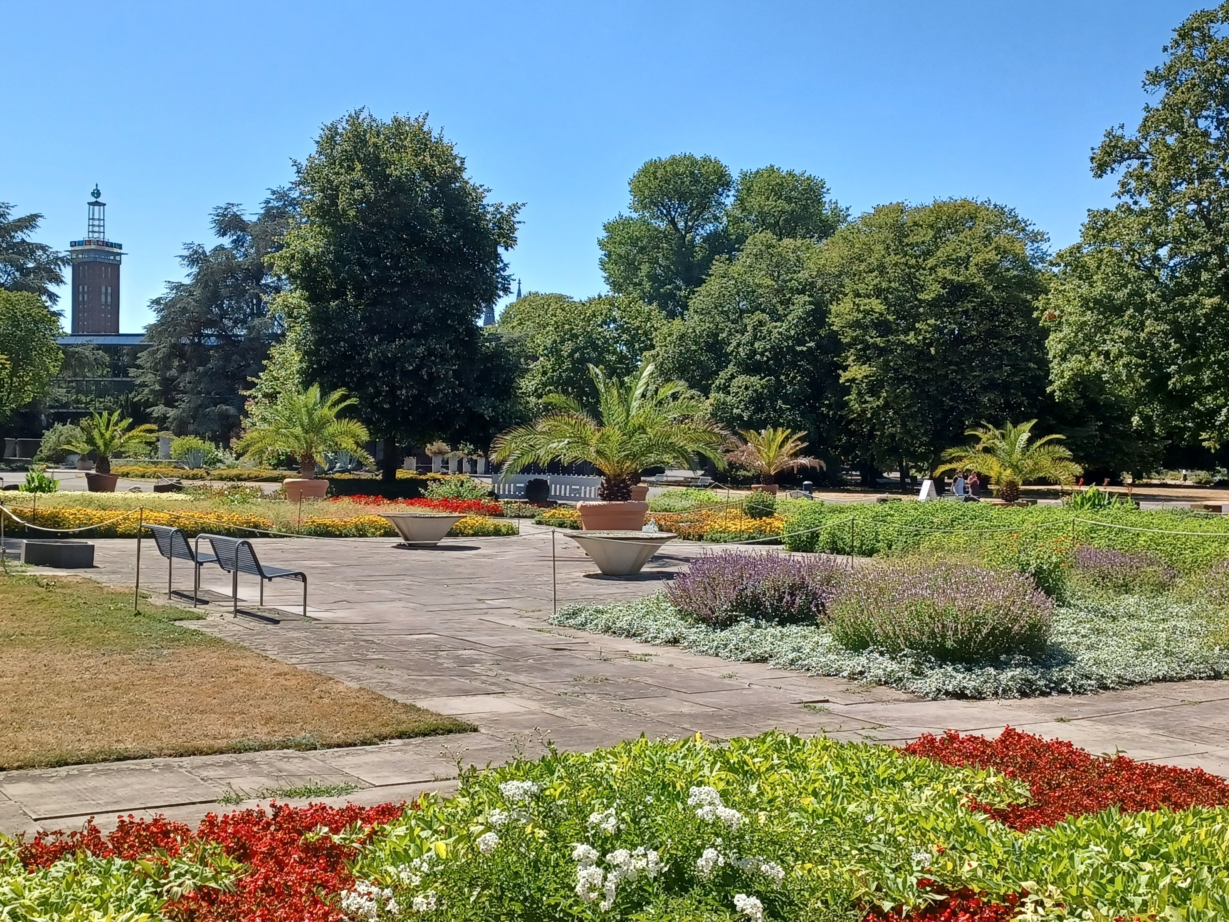 Eine Impression aus dem Rheinpark, vom Park-Café aus gesehen.