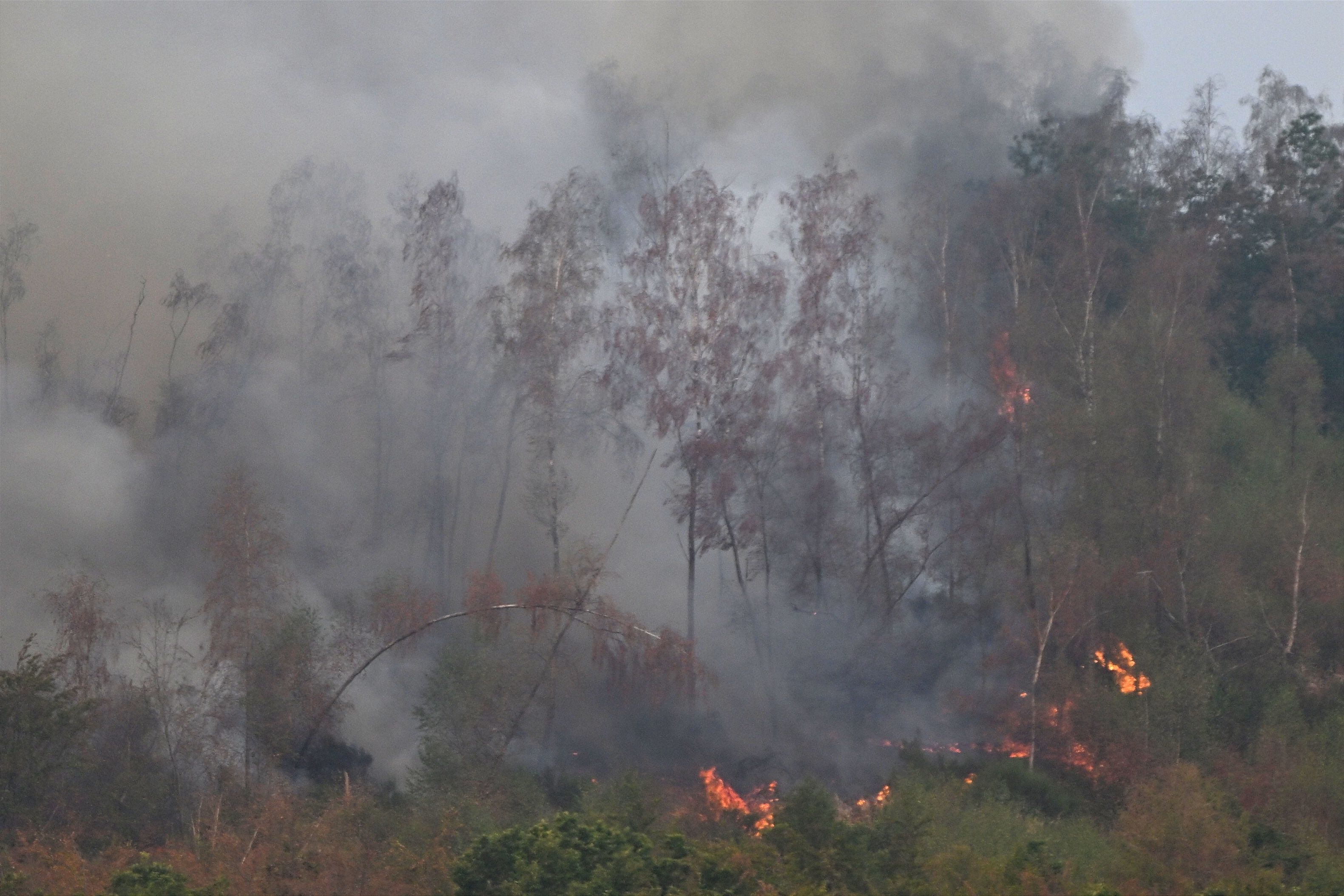 Flammen lodern bei einem Waldbrand im Hürtgenwald unweit des Ortsteils Gey. Mehrere Hundert Hektar Waldfläche stehen in Flammen.