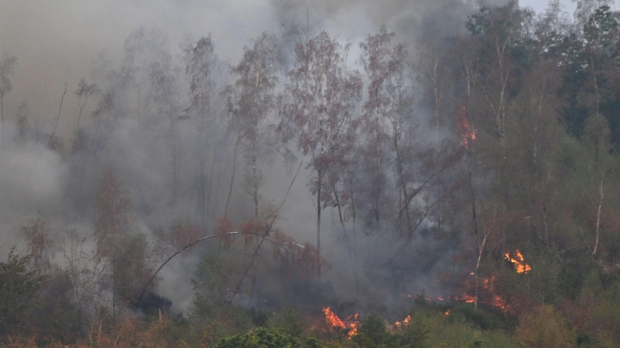 Flammen lodern bei einem Waldbrand im Hürtgenwald unweit des Ortsteils Gey. Mehrere Hundert Hektar Waldfläche stehen in Flammen.
