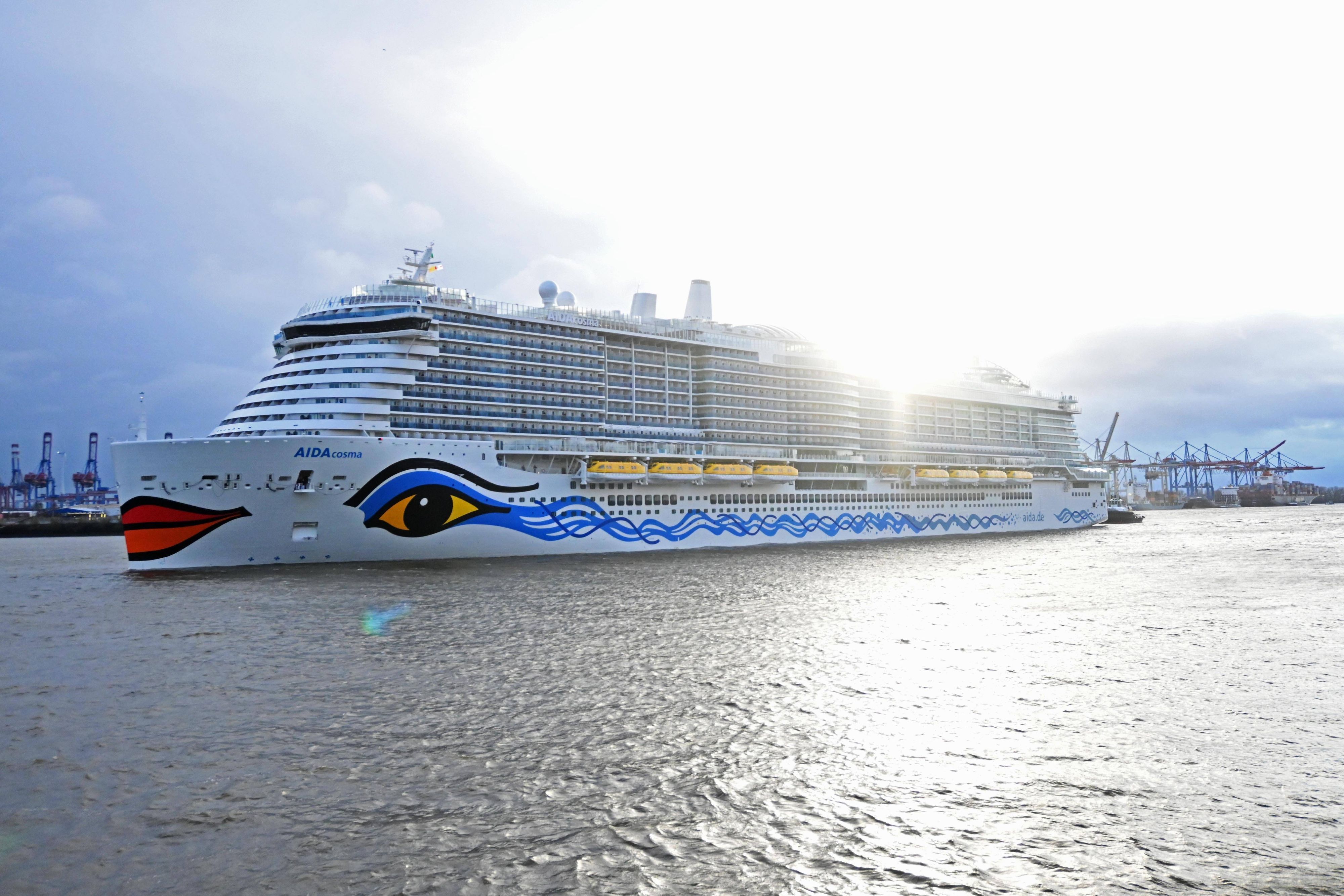 Die Aida Cosma läuft im Hamburger Hafen ein.