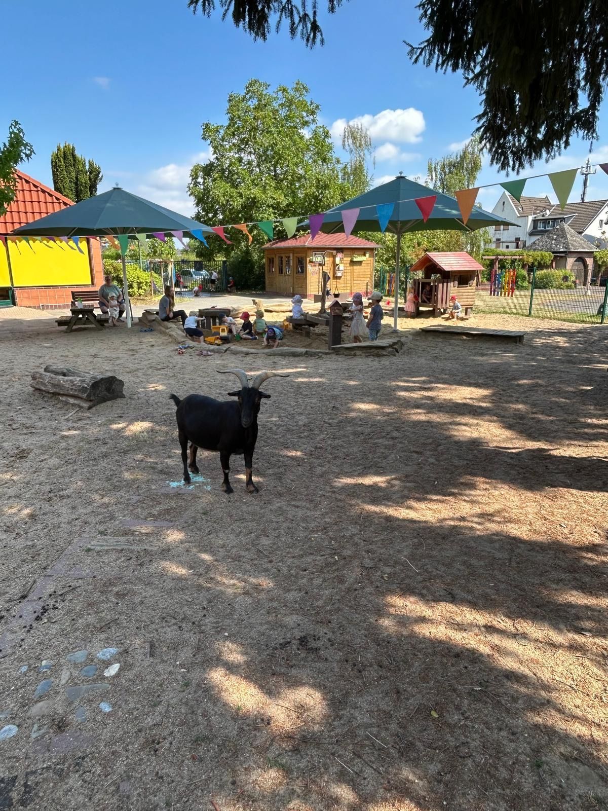 Das Gelände der Kita, im Vordergrung steht eine Ziege, im Hintergrund sitzen Mädchen und Jungen in einem Sandkasten.