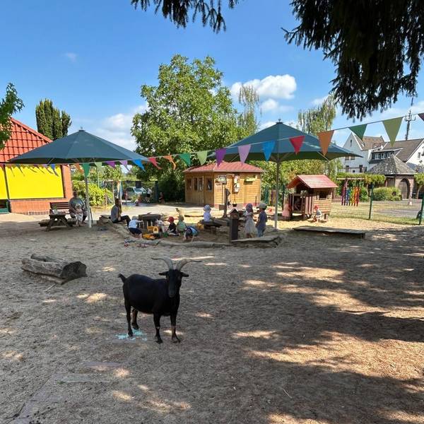 Das Gelände der Kita, im Vordergrung steht eine Ziege, im Hintergrund sitzen Mädchen und Jungen in einem Sandkasten.