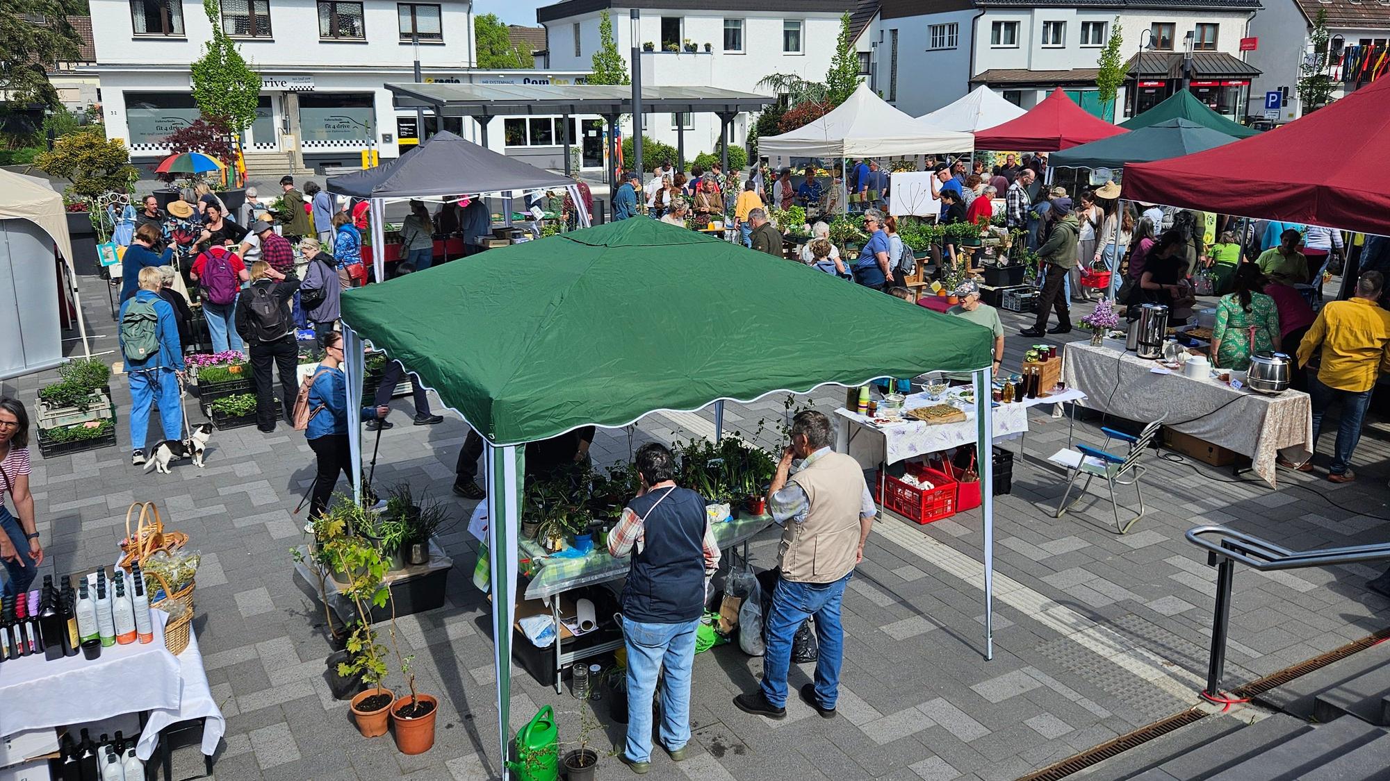 An verschiedenen Pavillons mit Pflanzen stehen Menschen.