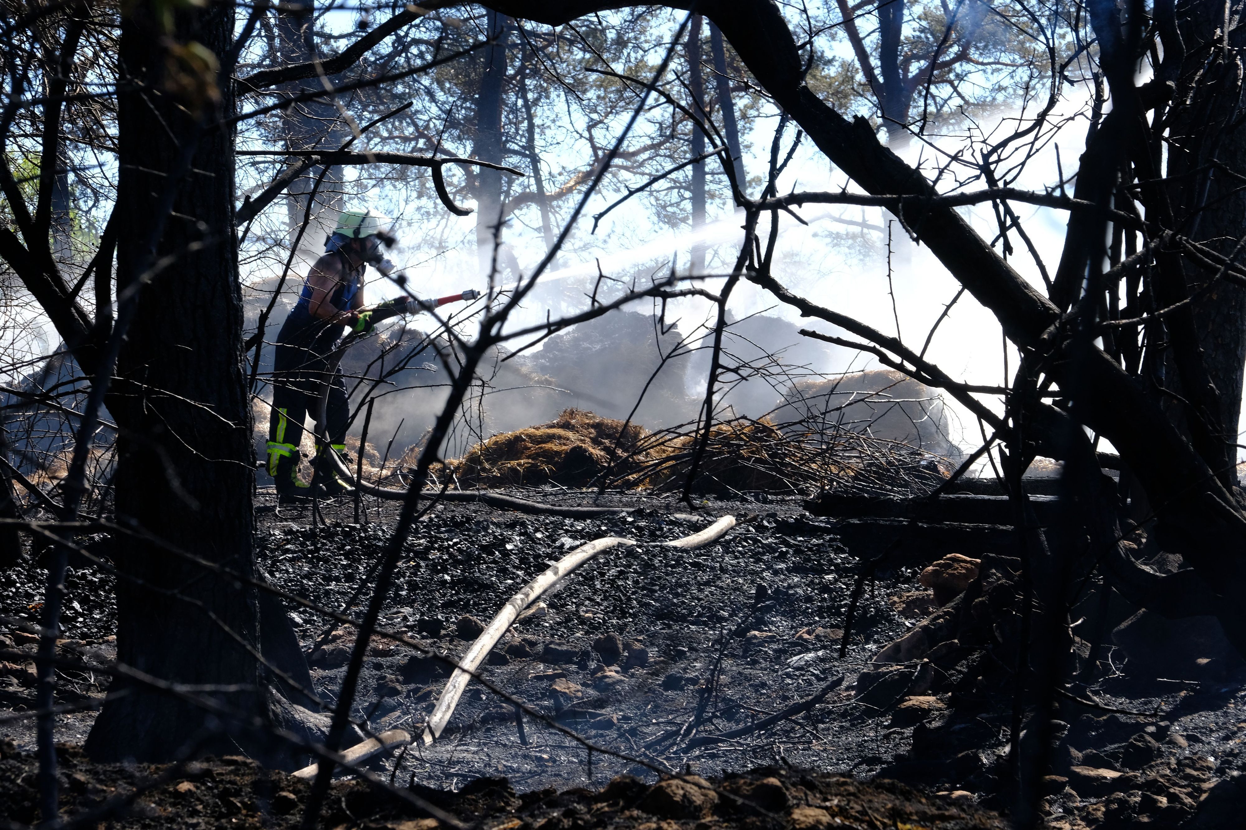 Ein Feuerwehrmann mit Atemschutzausrüstung löscht in einem Wald mit verkohlten Baumstämmen ein Feuer.